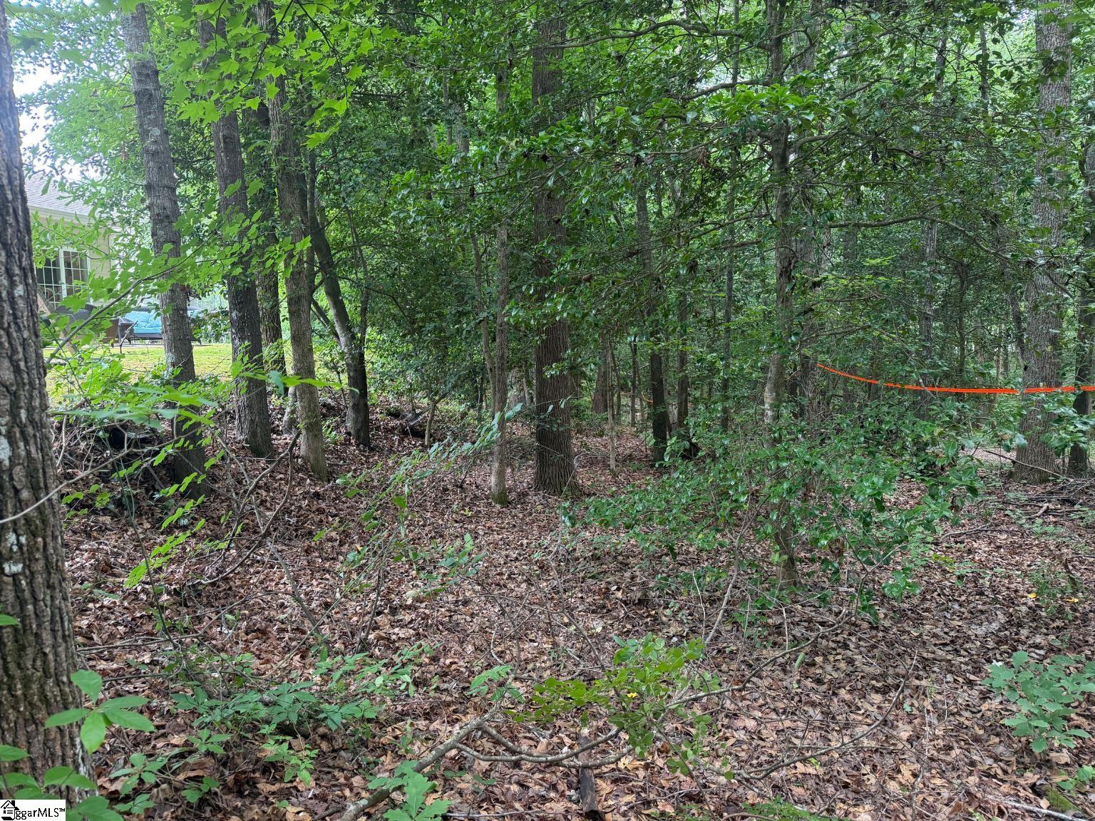 305 Horsepen Way Simpsonville, SC 29681