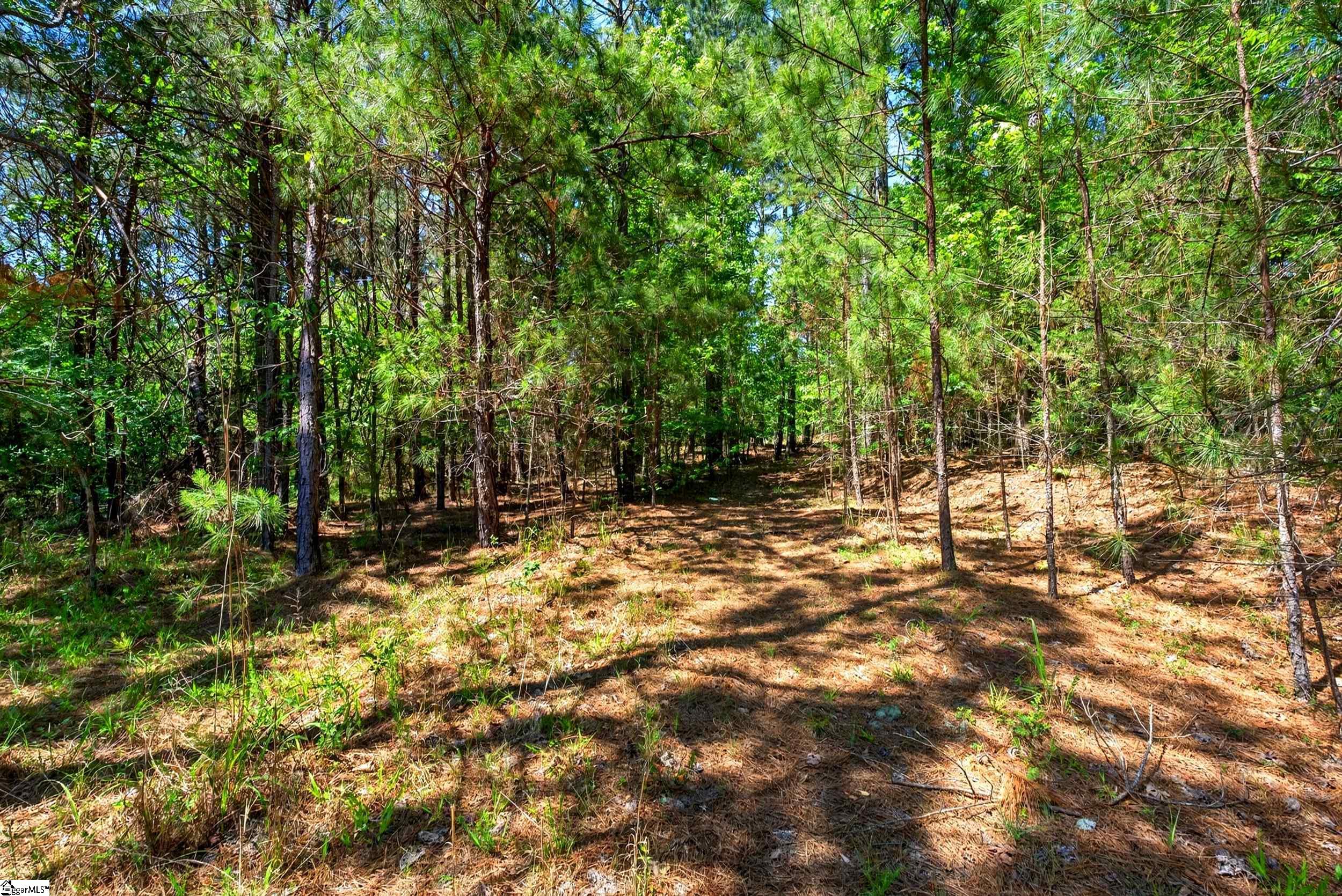 Lots 1 and Gowdeysville Road UNIT Lots 1 & 2 Gaffney, SC 29340