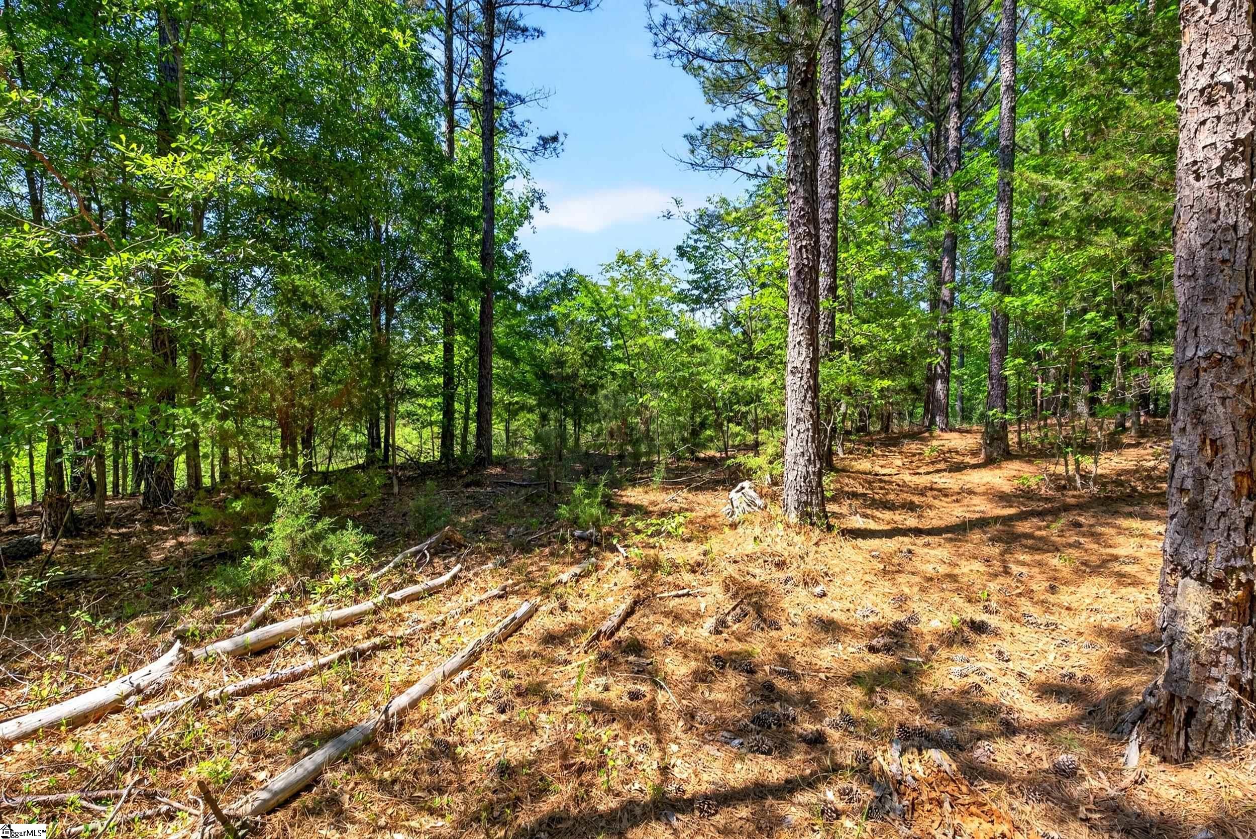 Lots 1 and Gowdeysville Road UNIT Lots 1 & 2 Gaffney, SC 29340