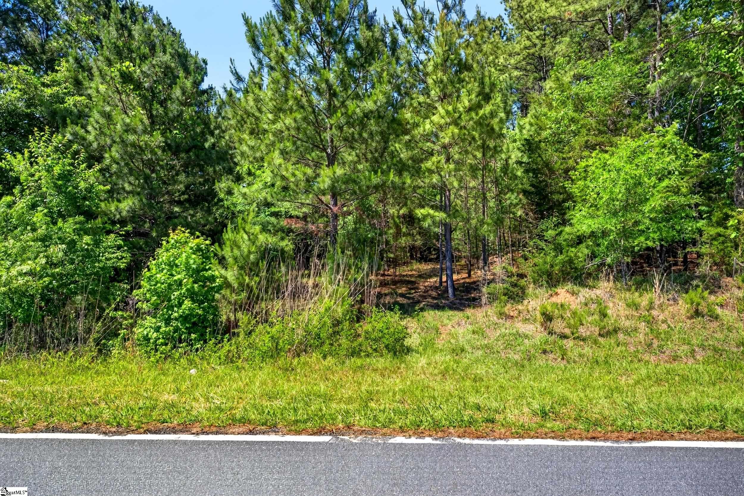 Lots 1 and Gowdeysville Road UNIT Lots 1 & 2 Gaffney, SC 29340