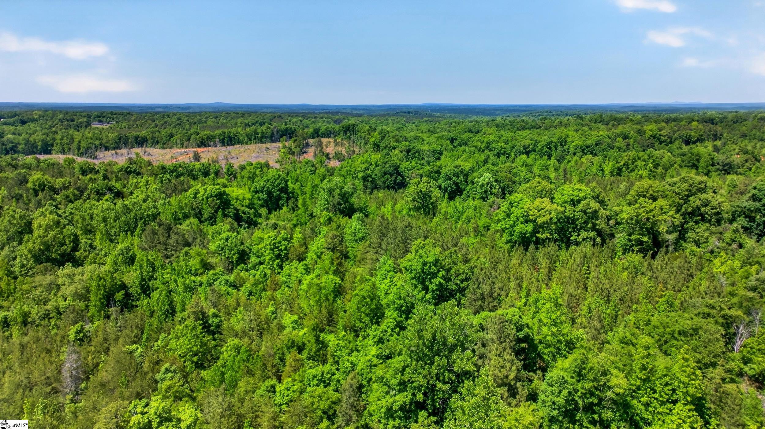 Lots 1 and Gowdeysville Road UNIT Lots 1 & 2 Gaffney, SC 29340