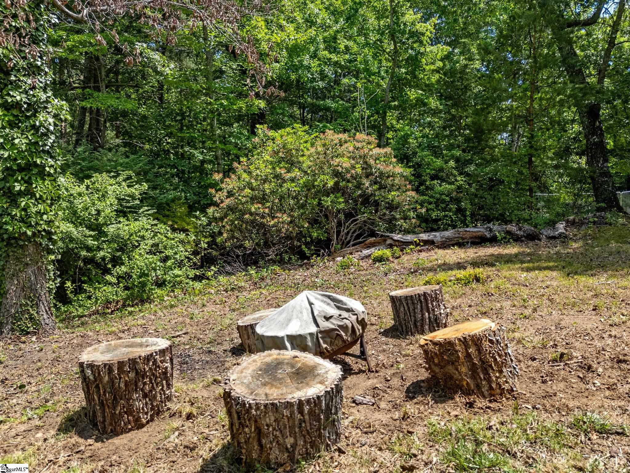 707 Dogwood Trail Tryon, NC 28782
