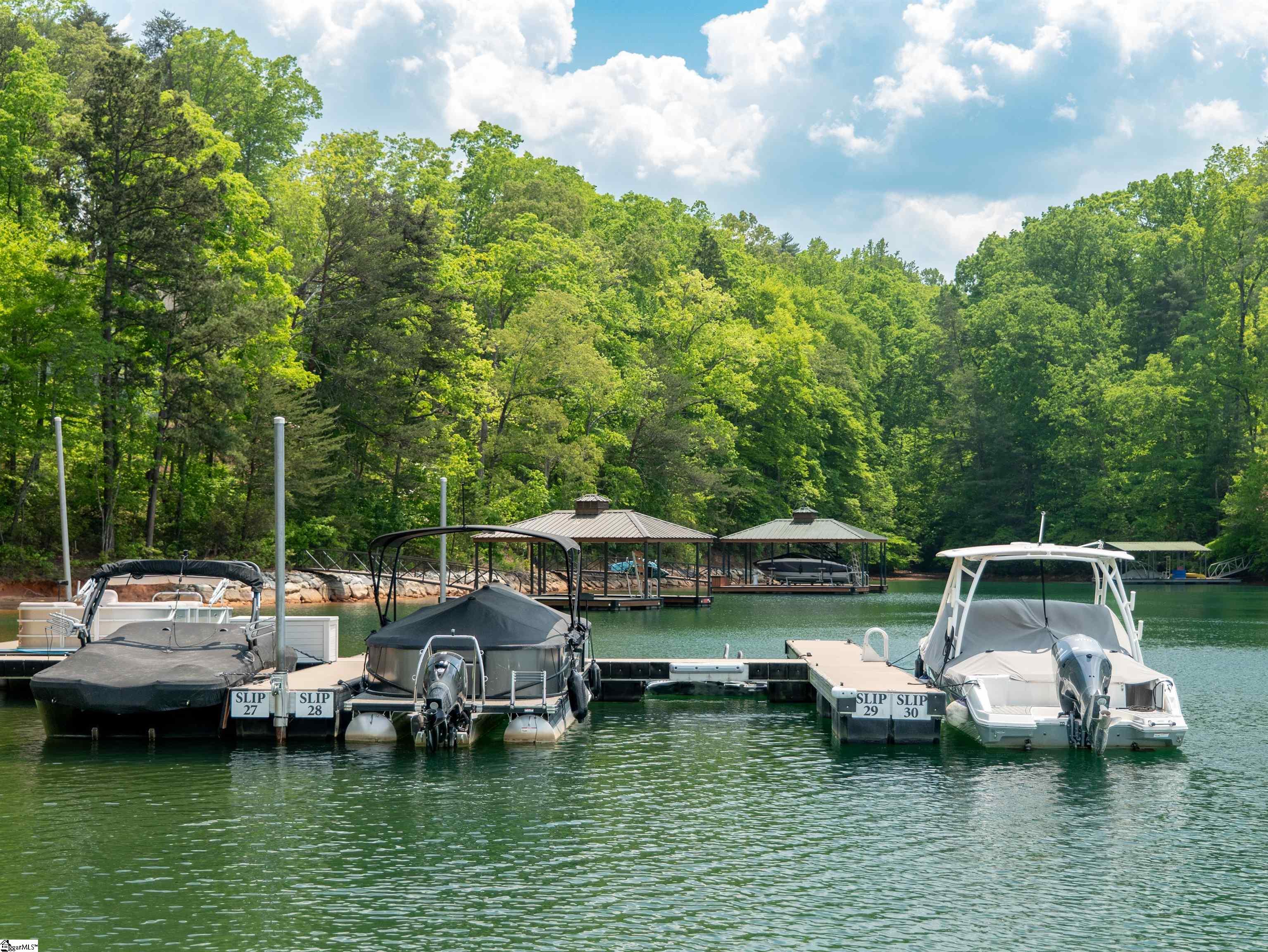 118 Squirrel Point Six Mile, SC 29682