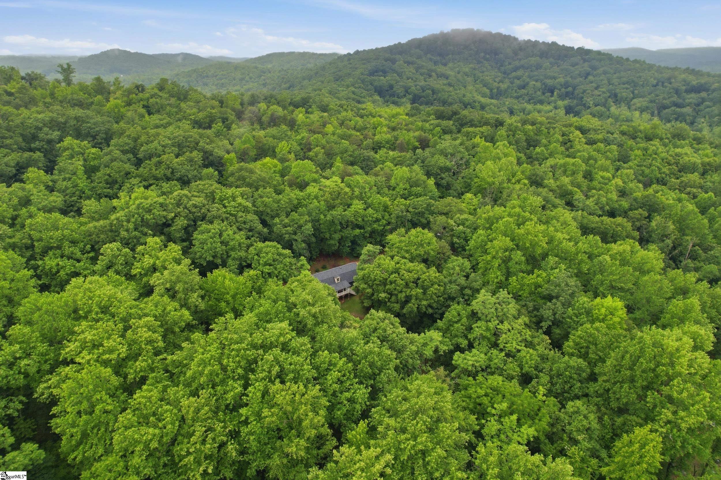 211 Narrow Way Travelers Rest, SC 29690