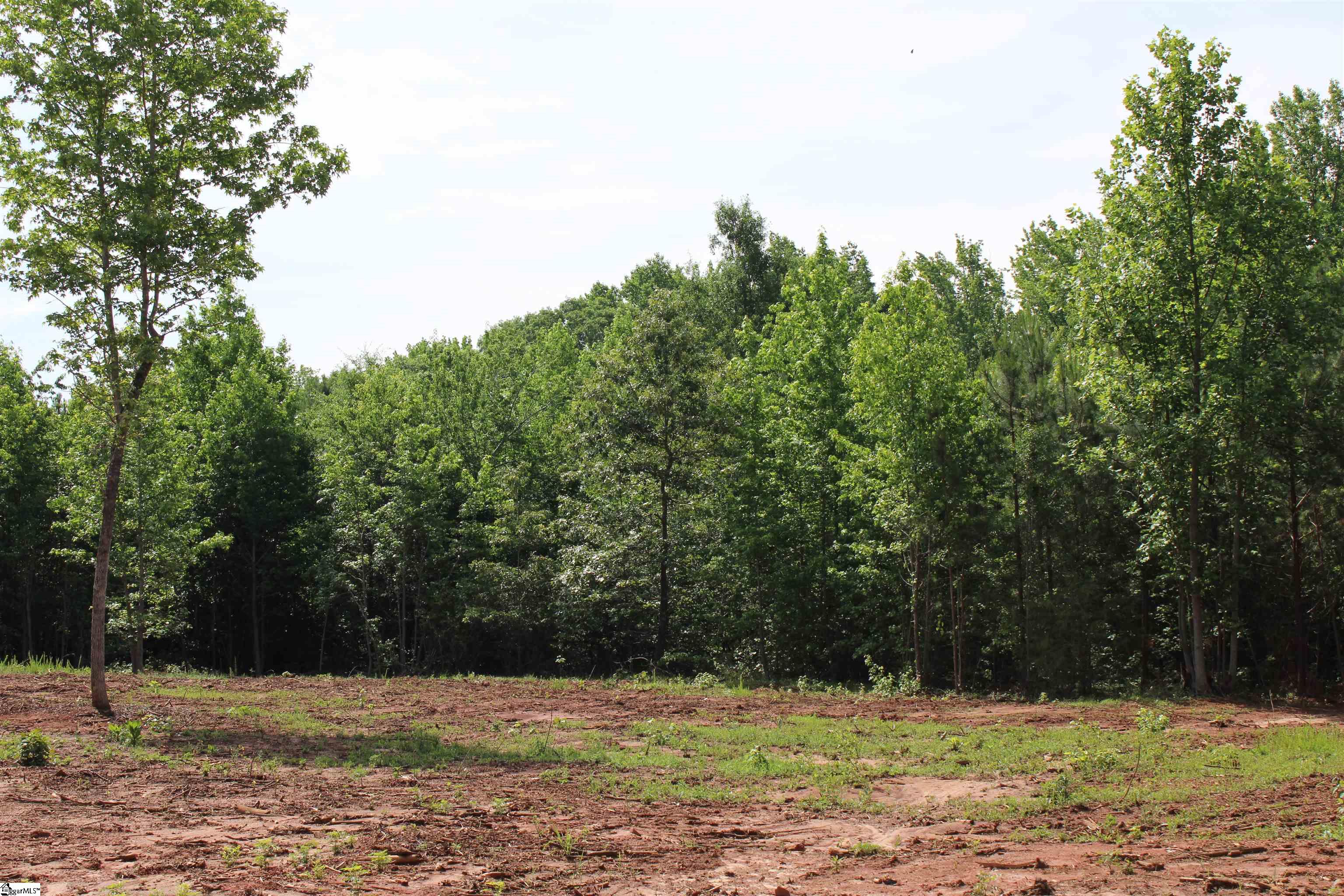 399 S Nelson Drive Fountain Inn, SC 29644