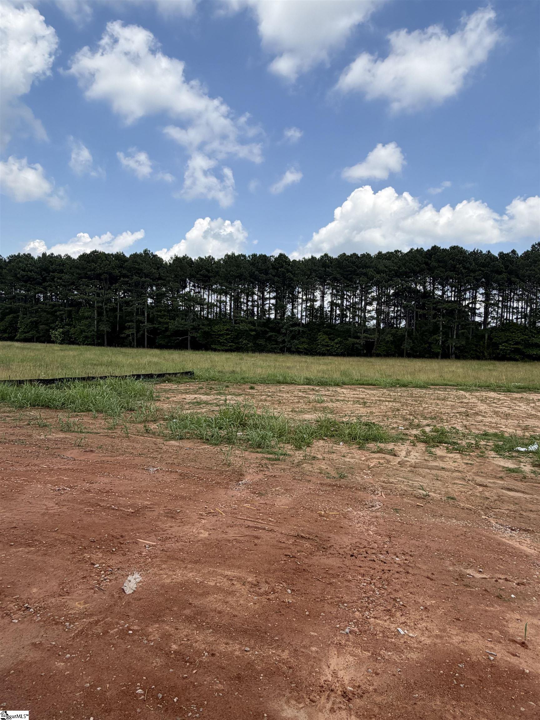 318 Richey Road UNIT Lot 1 Pelzer, SC 29669