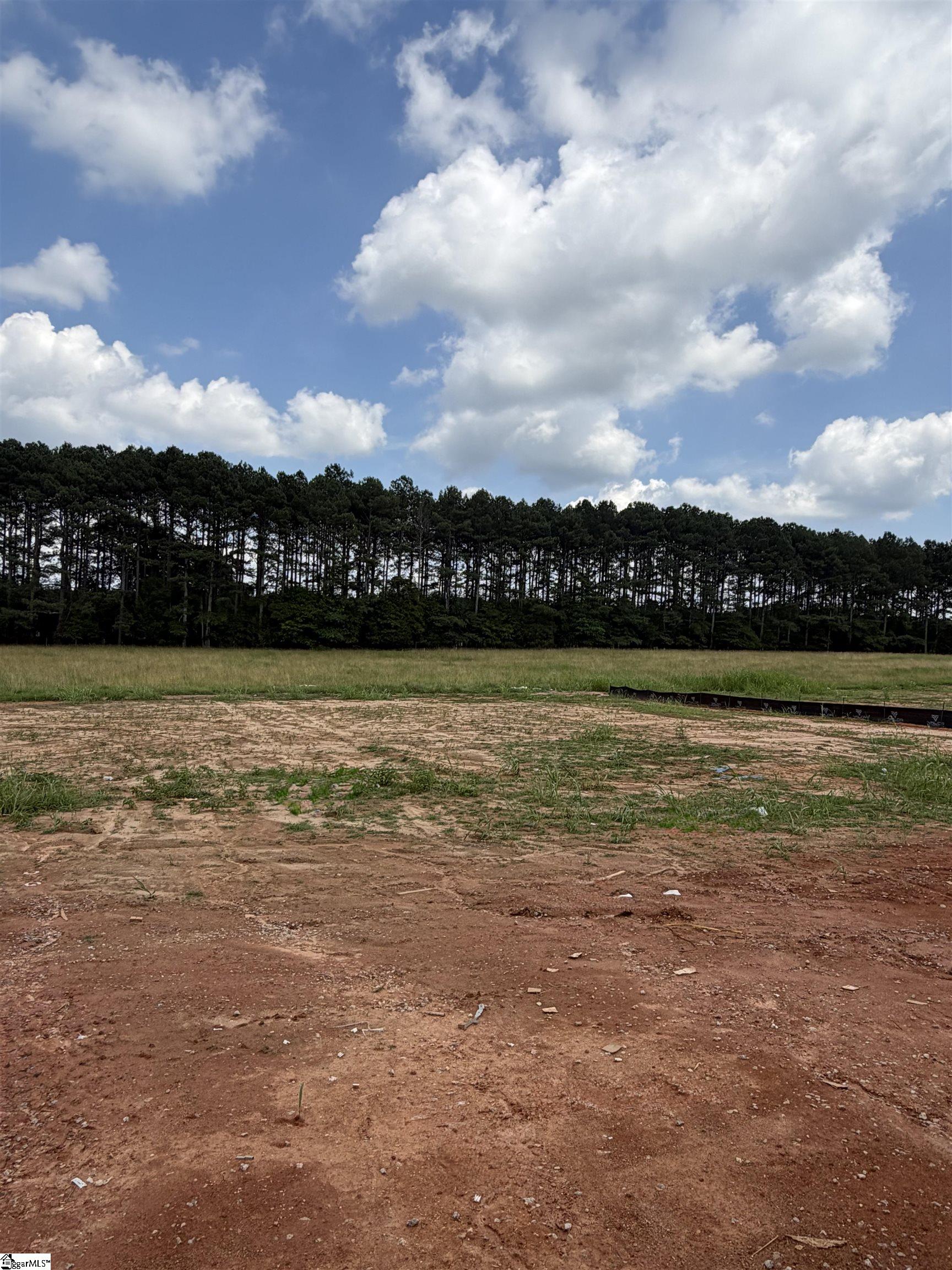 318 Richey Road UNIT Lot 1 Pelzer, SC 29669