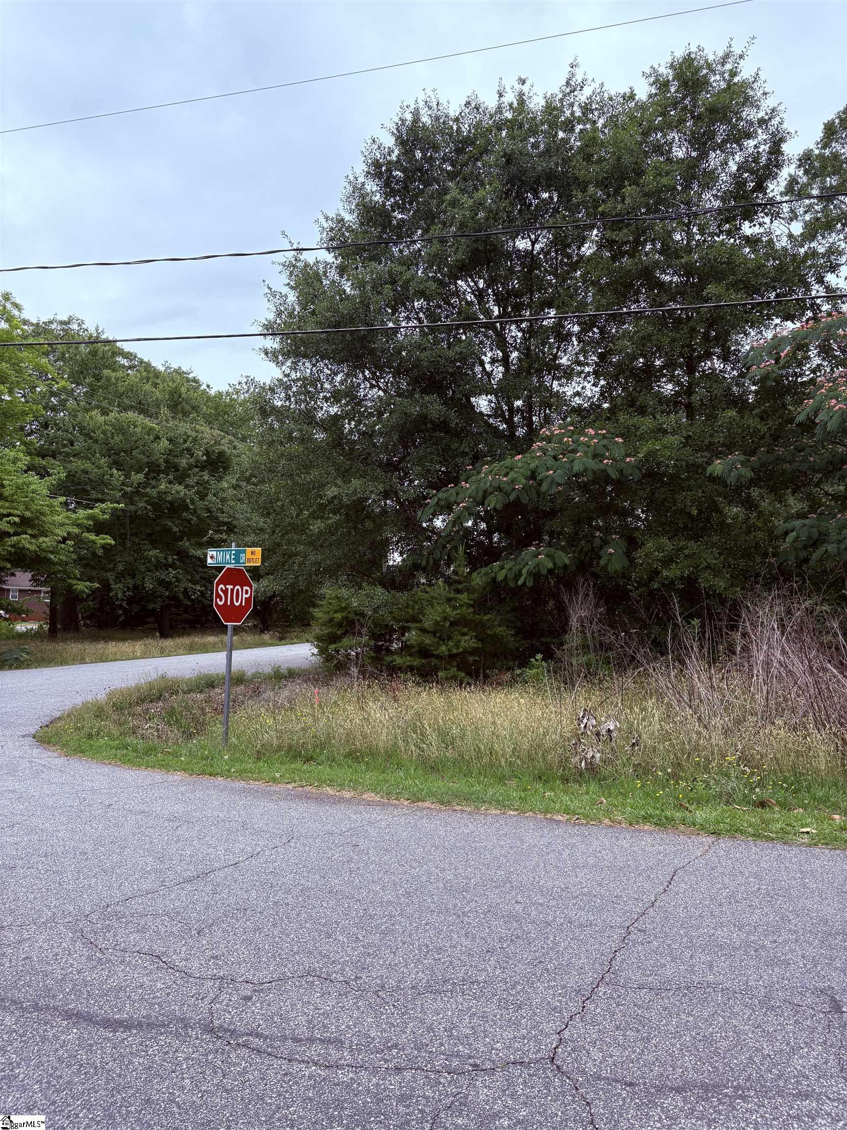 802 Mike Circle Spartanburg, SC 29303
