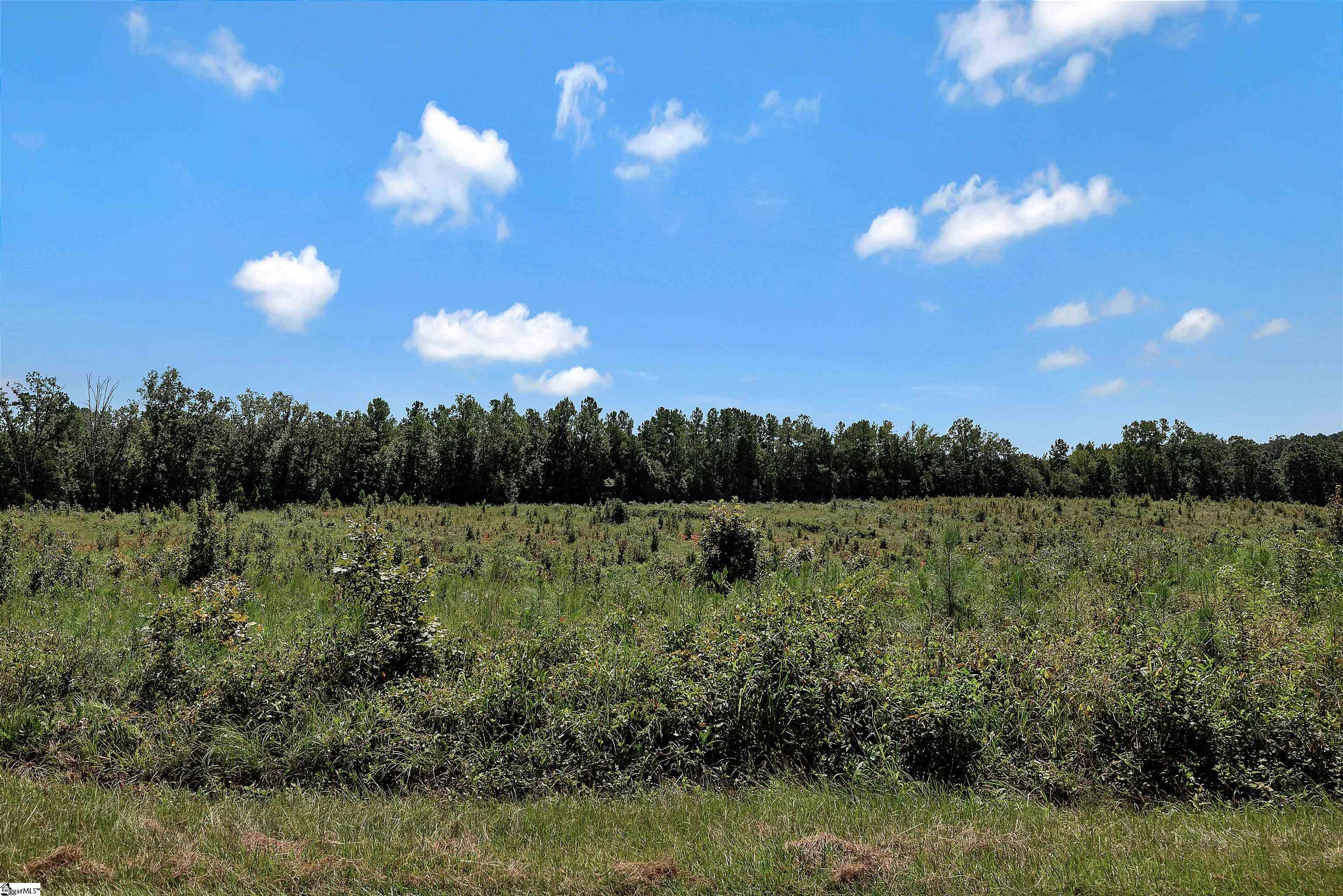 00 Brown Road Iva, SC 29684