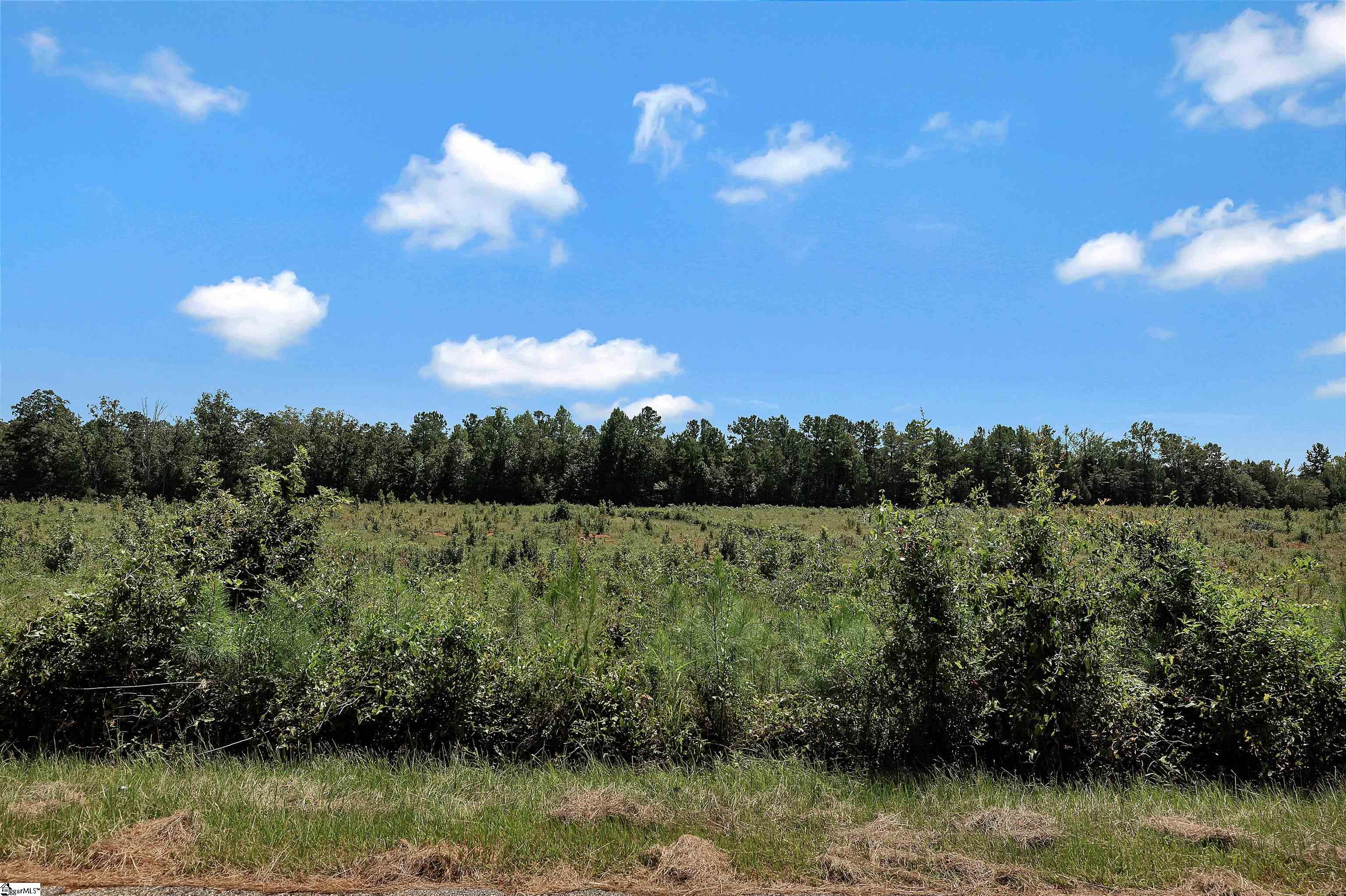 00 Brown Road Iva, SC 29684