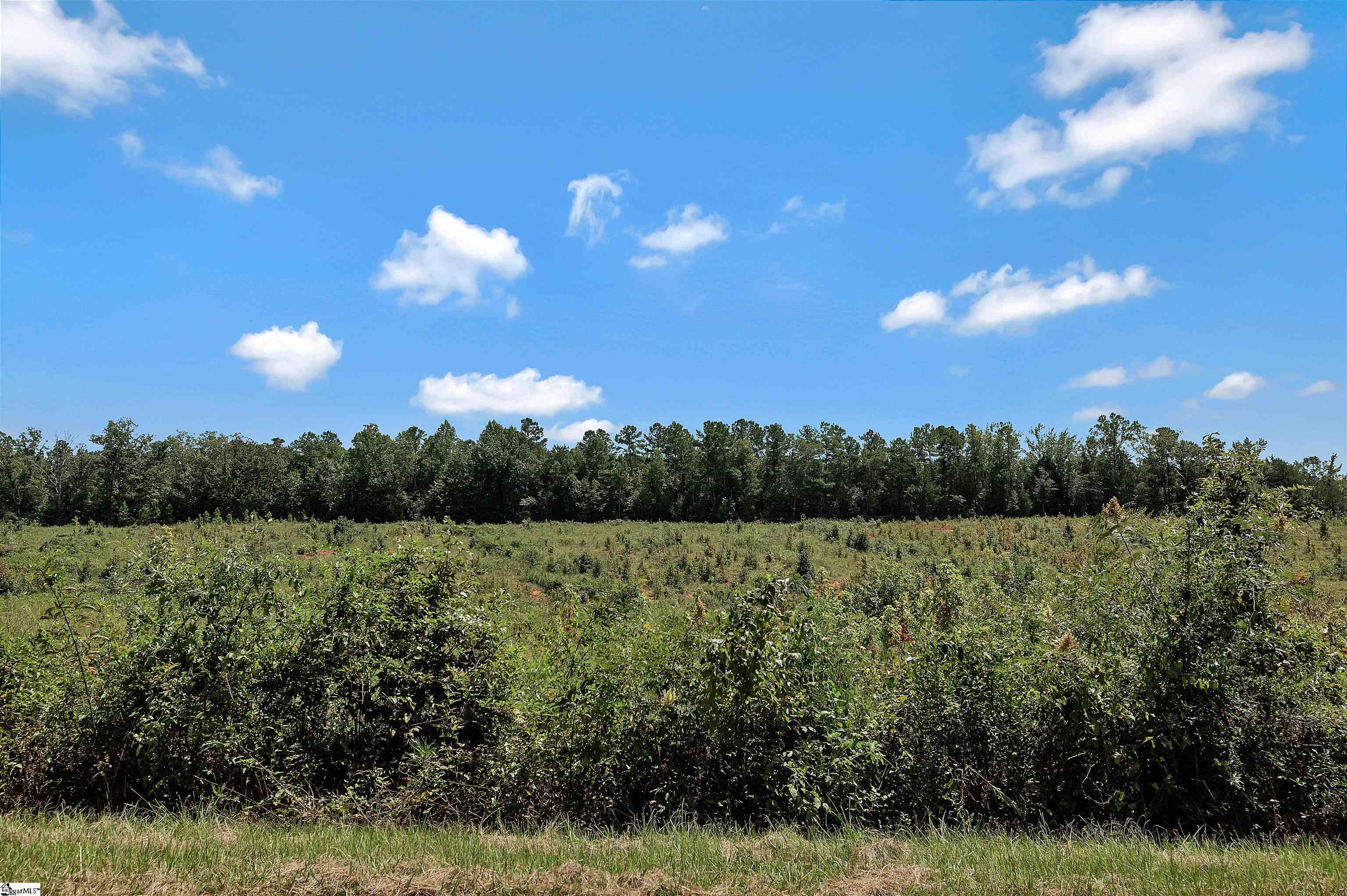 00 Brown Road Iva, SC 29684