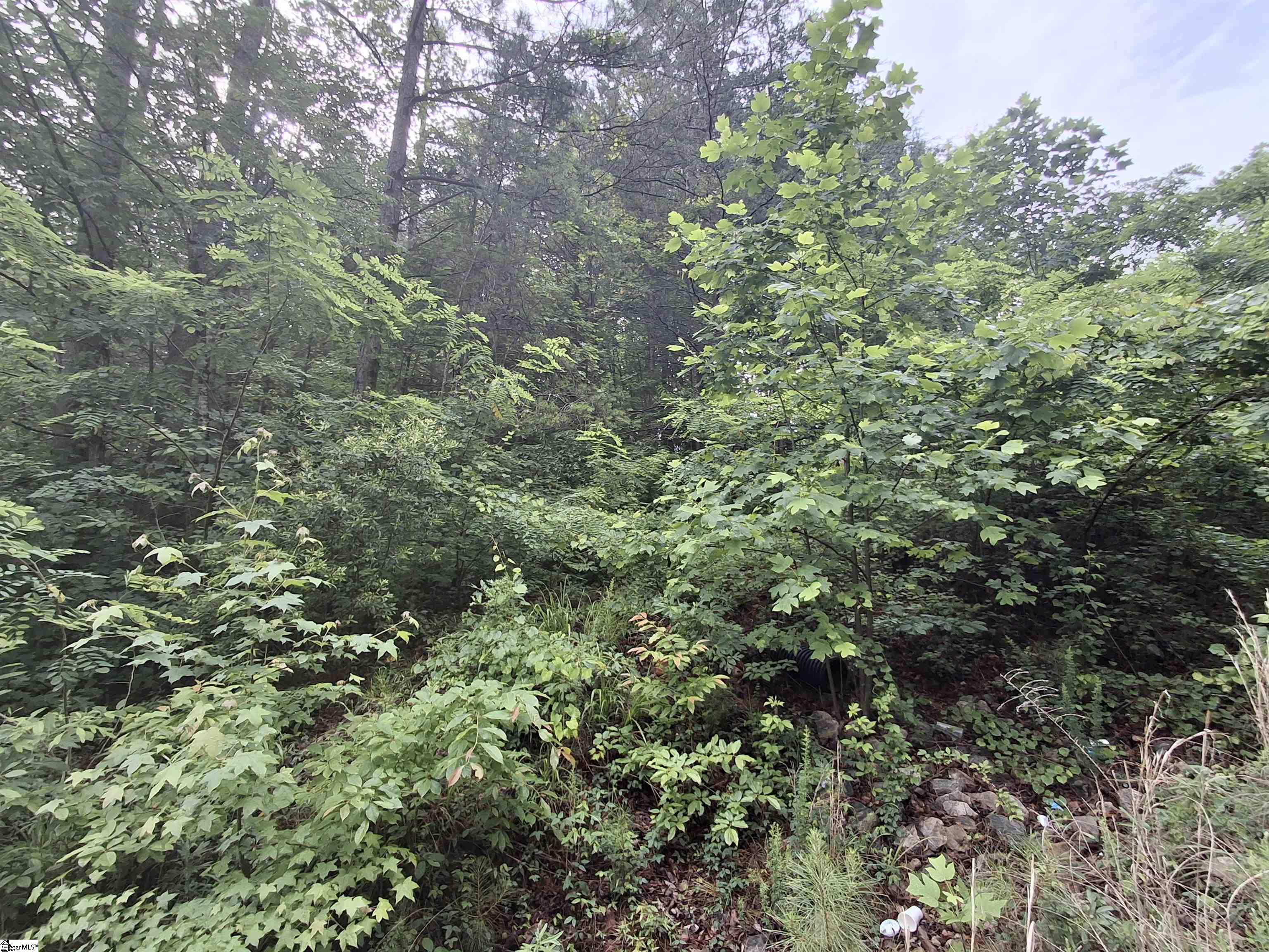 113 High Top Drive Pickens, SC 29671