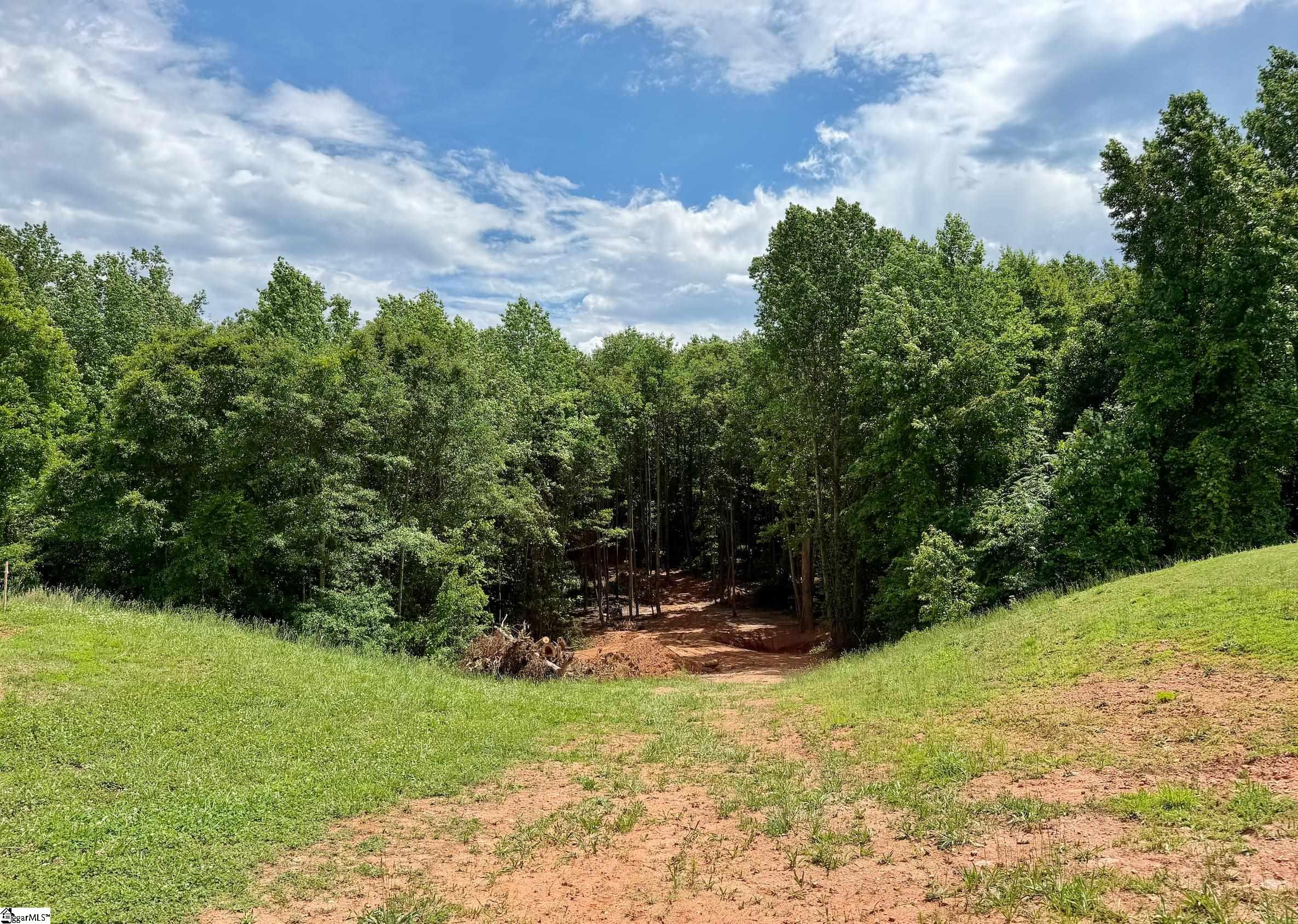 3161 Lorenzo Court Inman, SC 29349