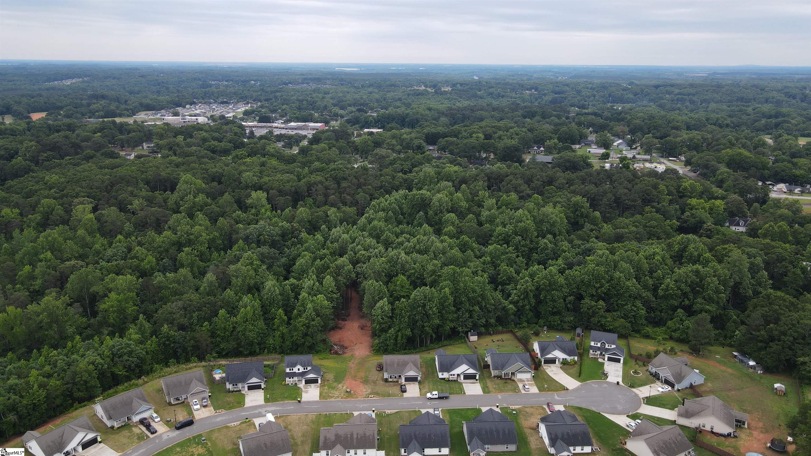 3161 Lorenzo Court Inman, SC 29349
