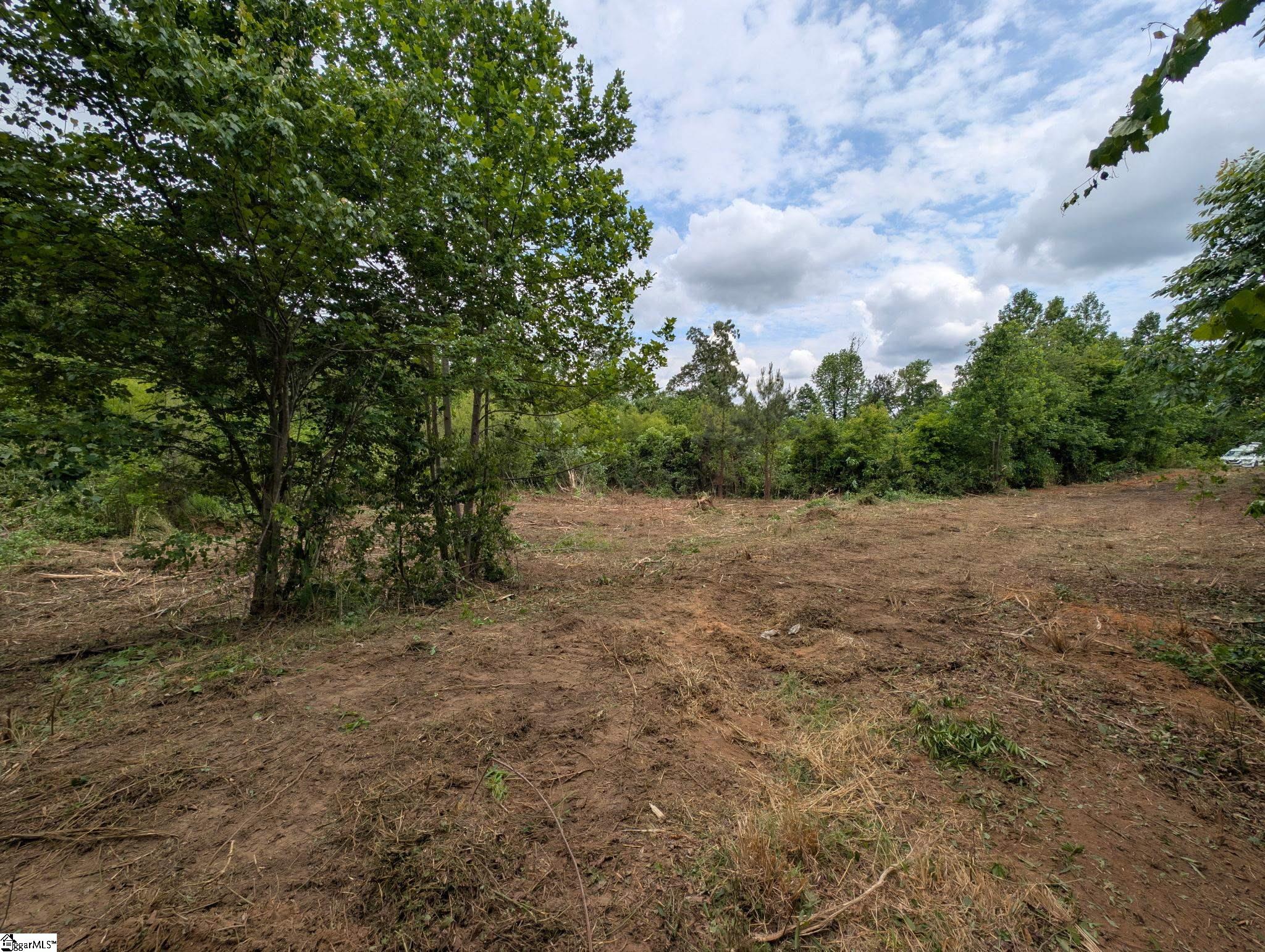 418 N Walcher Farm Drive, Inman SC 29349,Inman,Spartanburg,Land