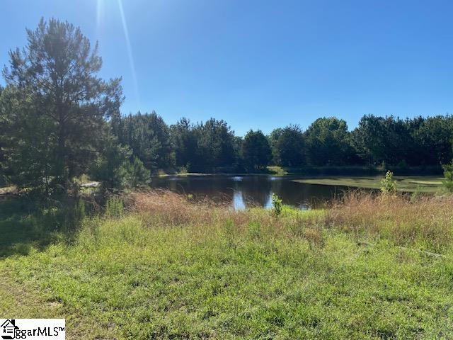 00 Cook Road Gray Court, SC 29645