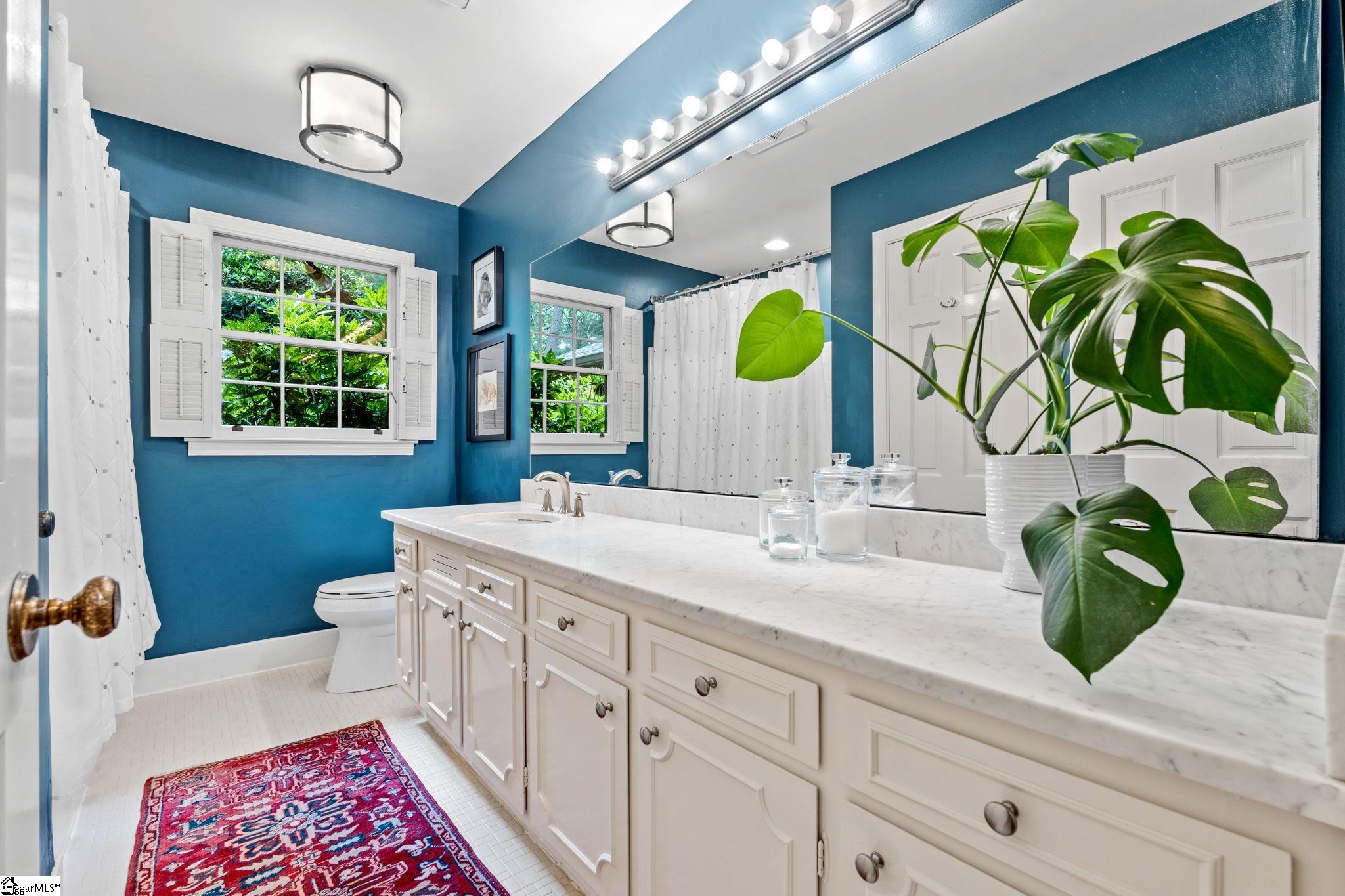 507 Kenilworth Drive Greenville, SC 29615