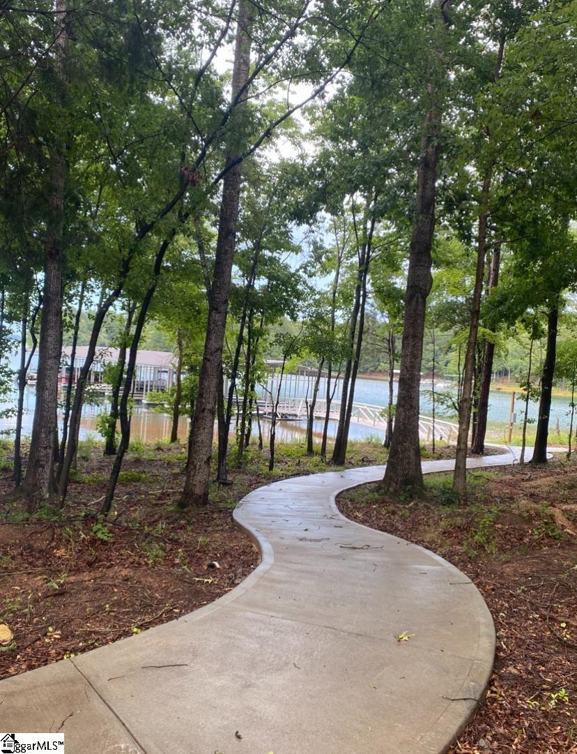 0 Lot 20 South Pointe Dr Drive Hartwell, GA 30643