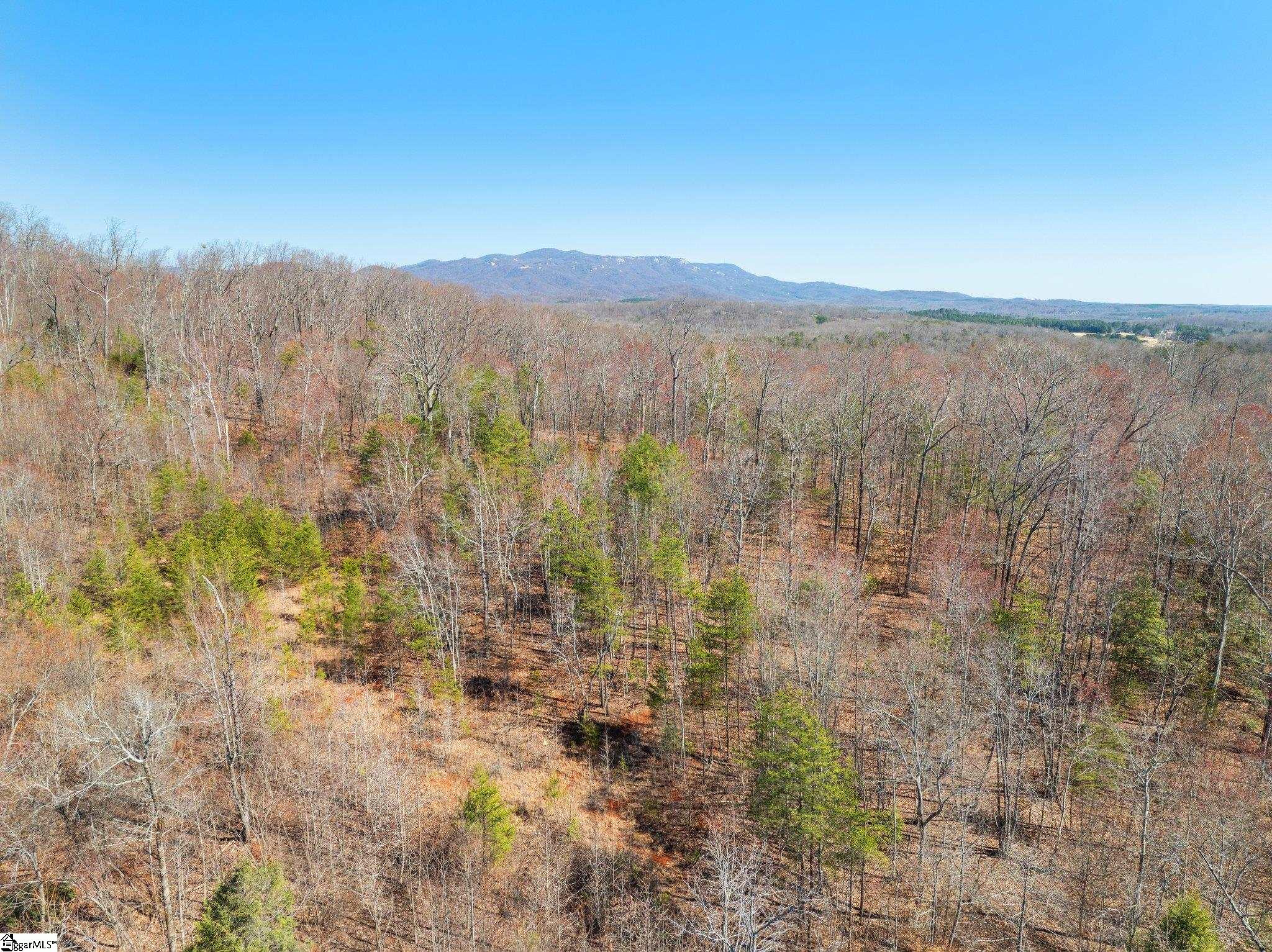 00 Burns Road Travelers Rest, SC 29690