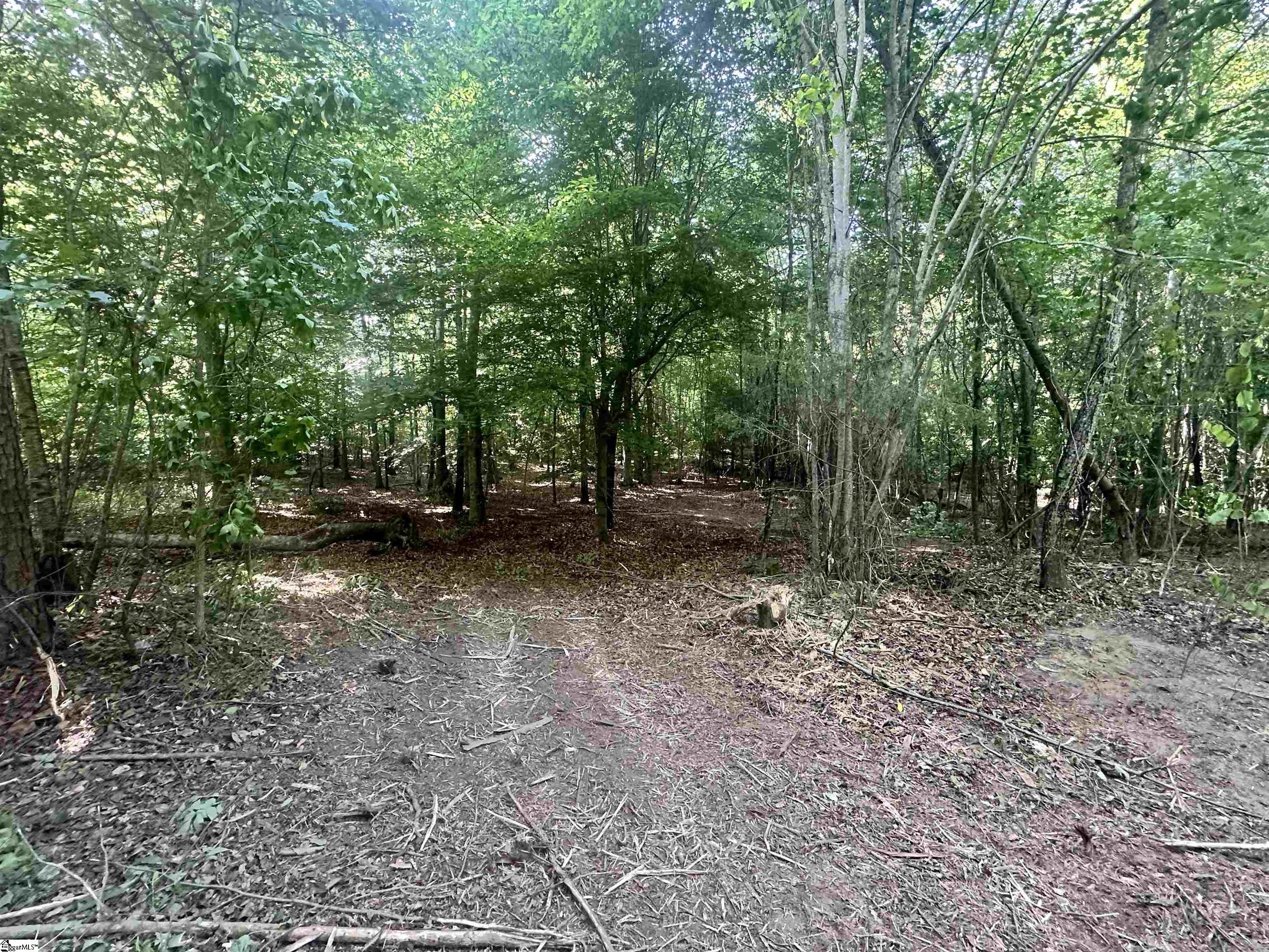 772 Brick House Road Laurens, SC 29360