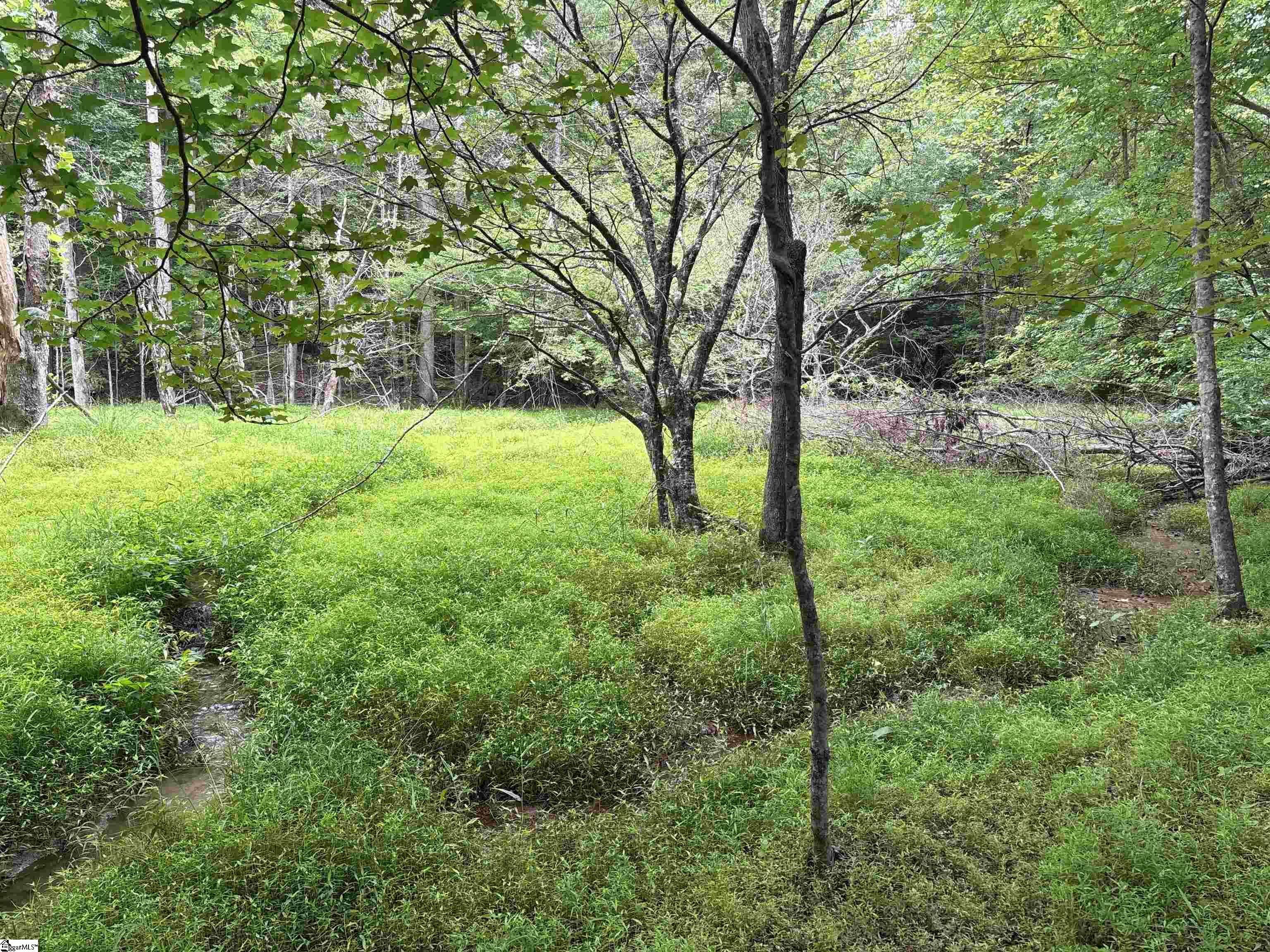1087 Bobby Facuette Road Jonesville, SC 29353