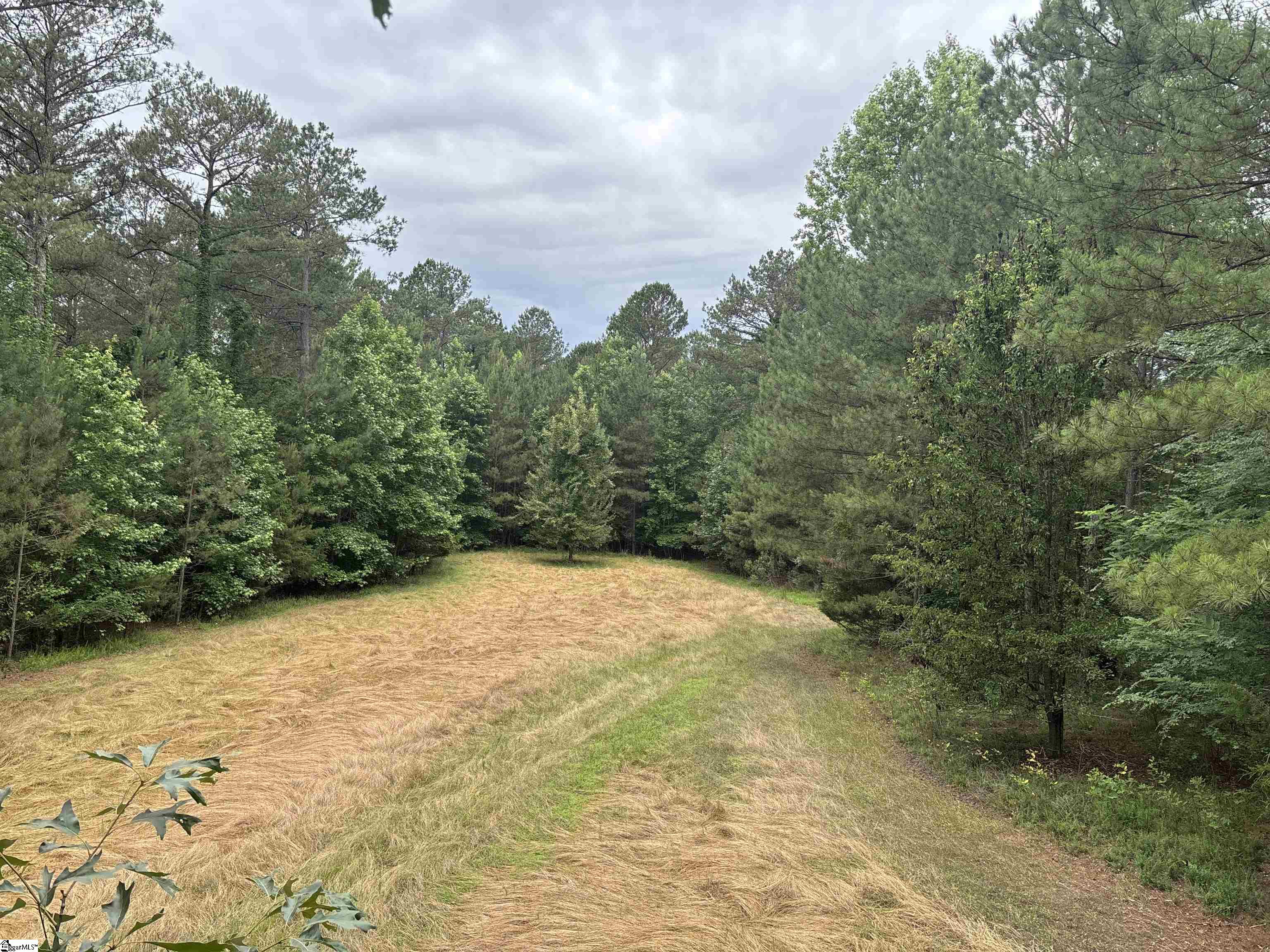 1087 Bobby Facuette Road Jonesville, SC 29353