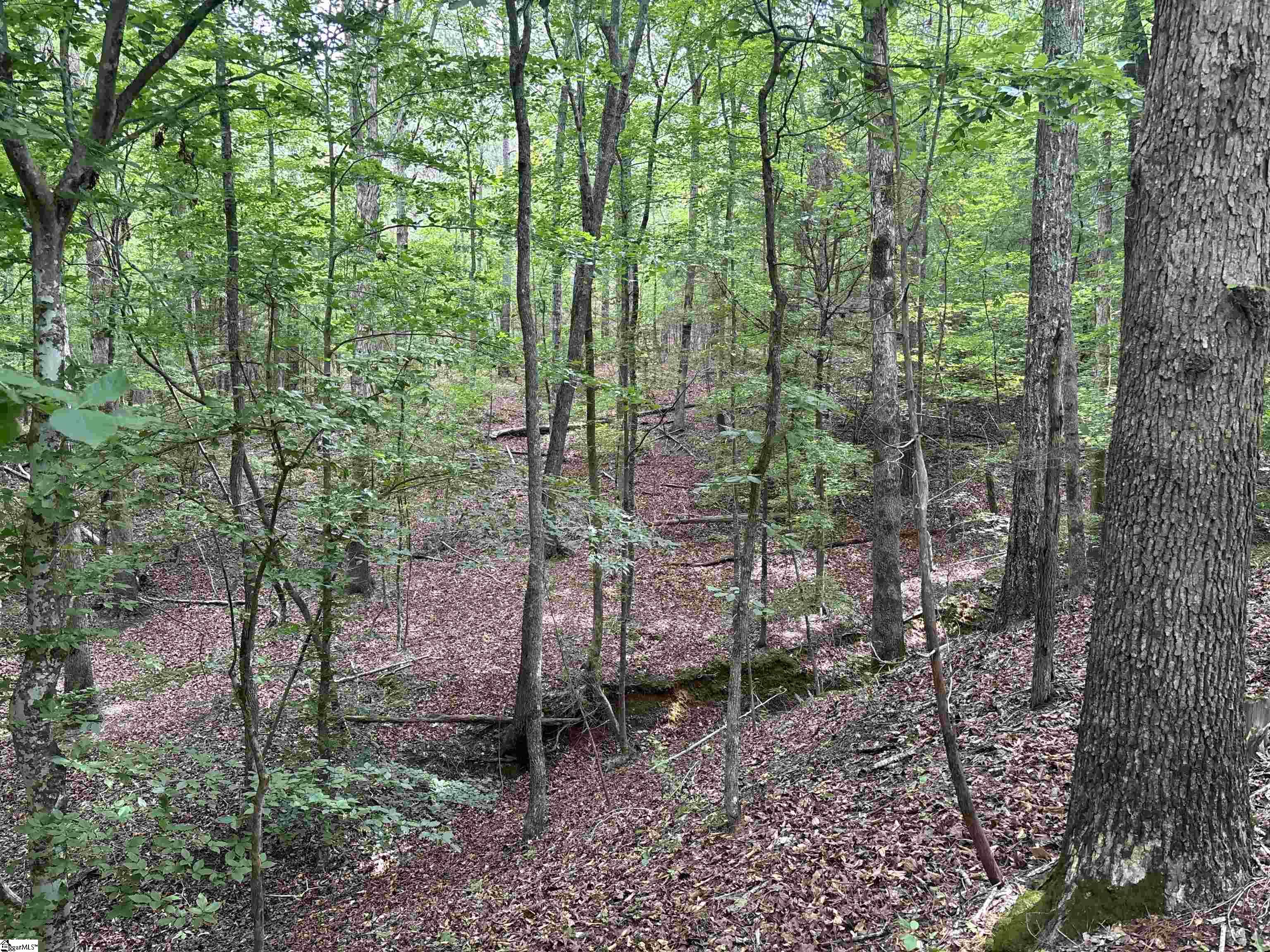 1087 Bobby Facuette Road Jonesville, SC 29353