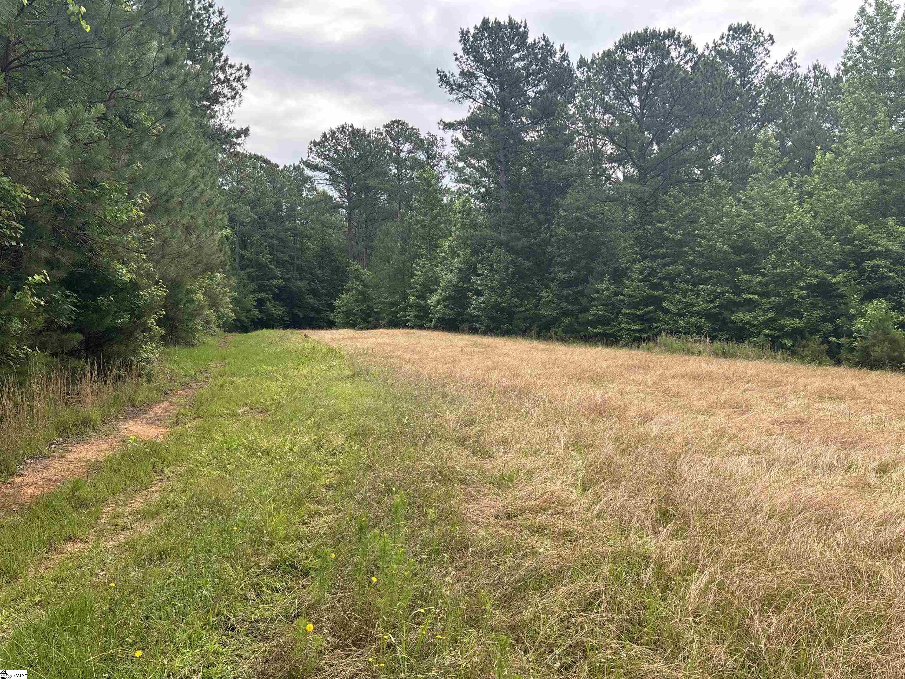 1087 Bobby Facuette Road Jonesville, SC 29353
