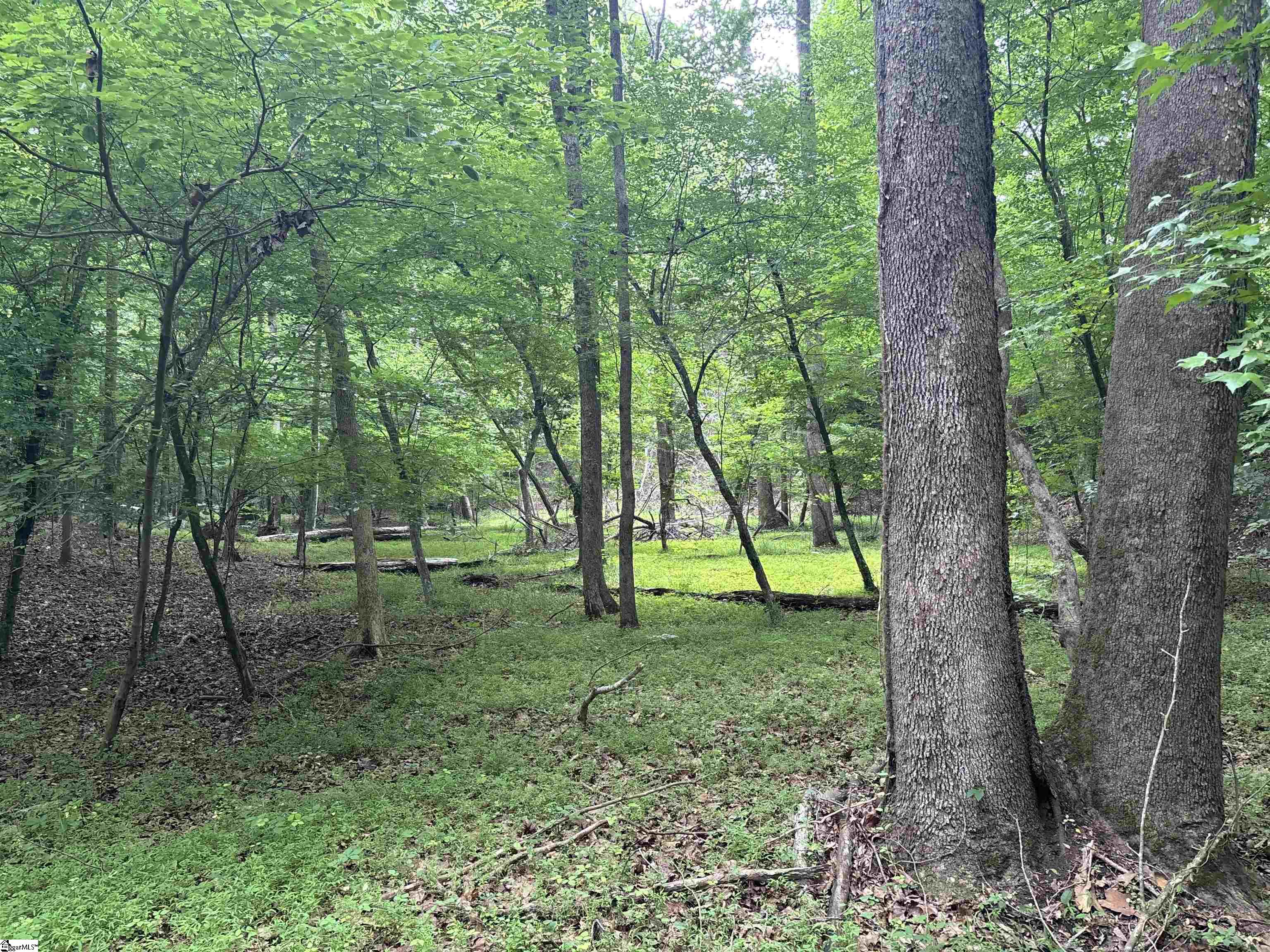 1087 Bobby Facuette Road Jonesville, SC 29353
