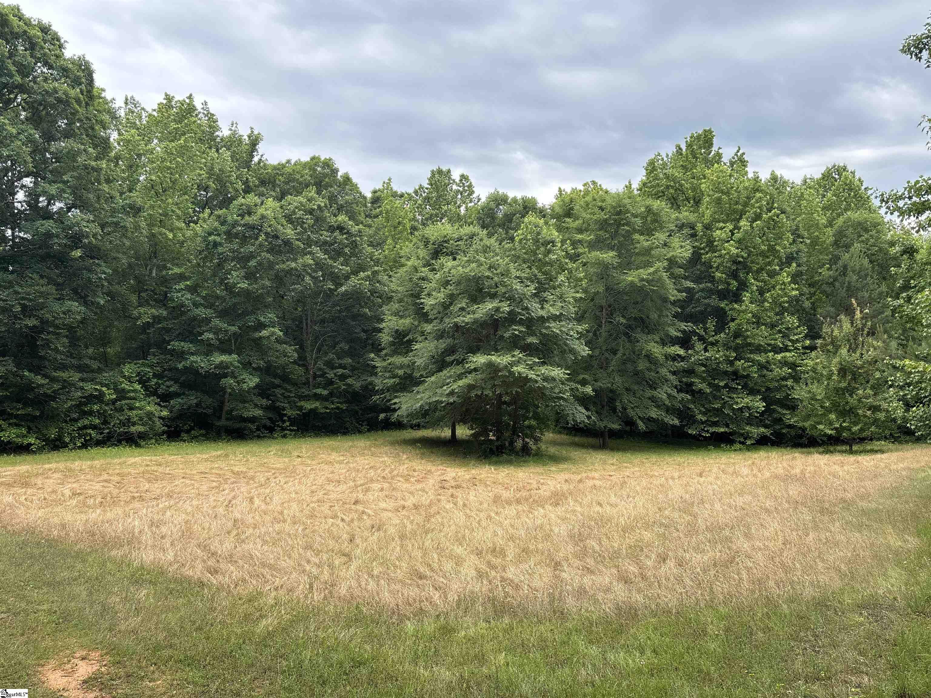 1087 Bobby Facuette Road Jonesville, SC 29353