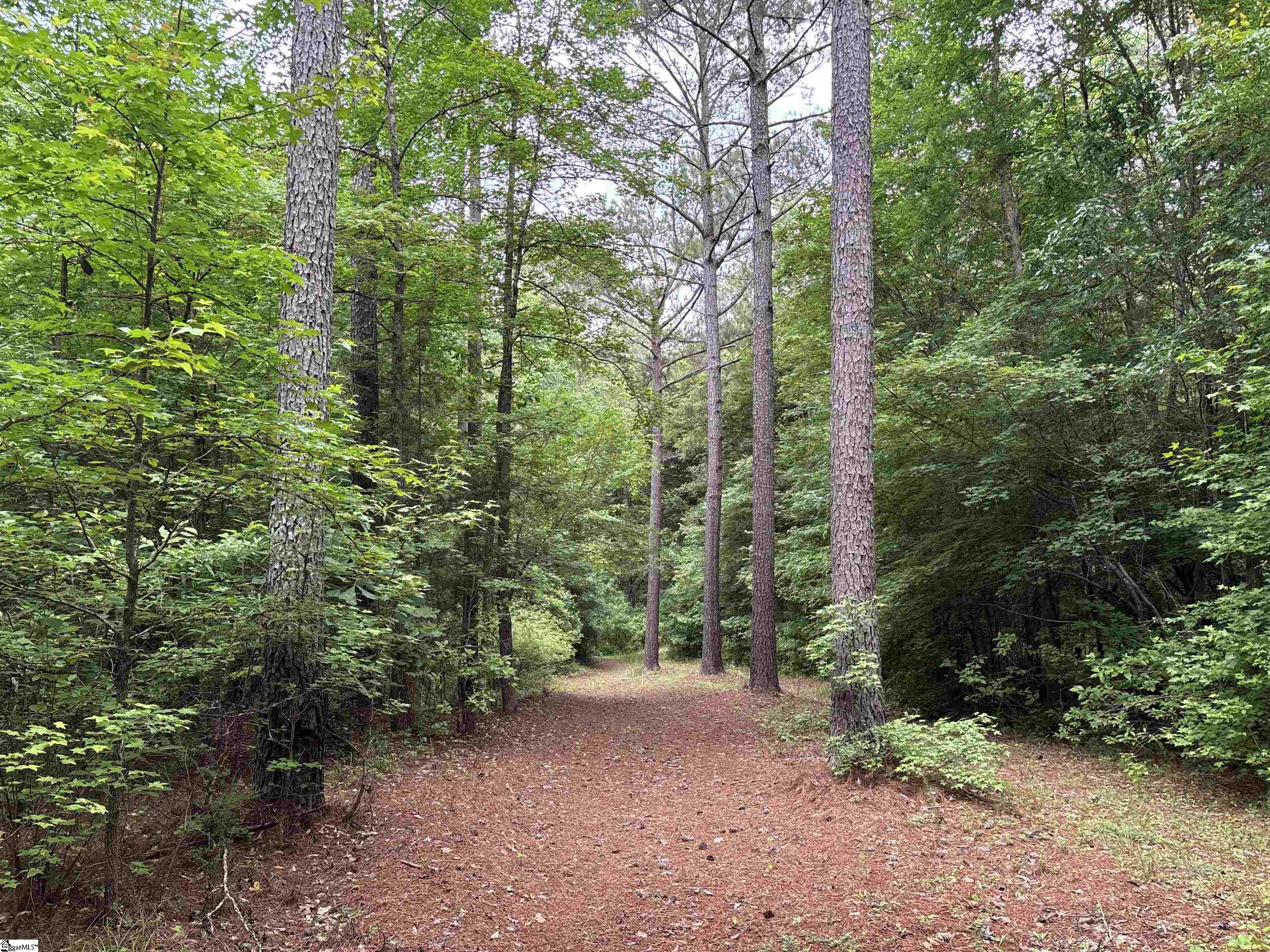 1087 Bobby Facuette Road Jonesville, SC 29353