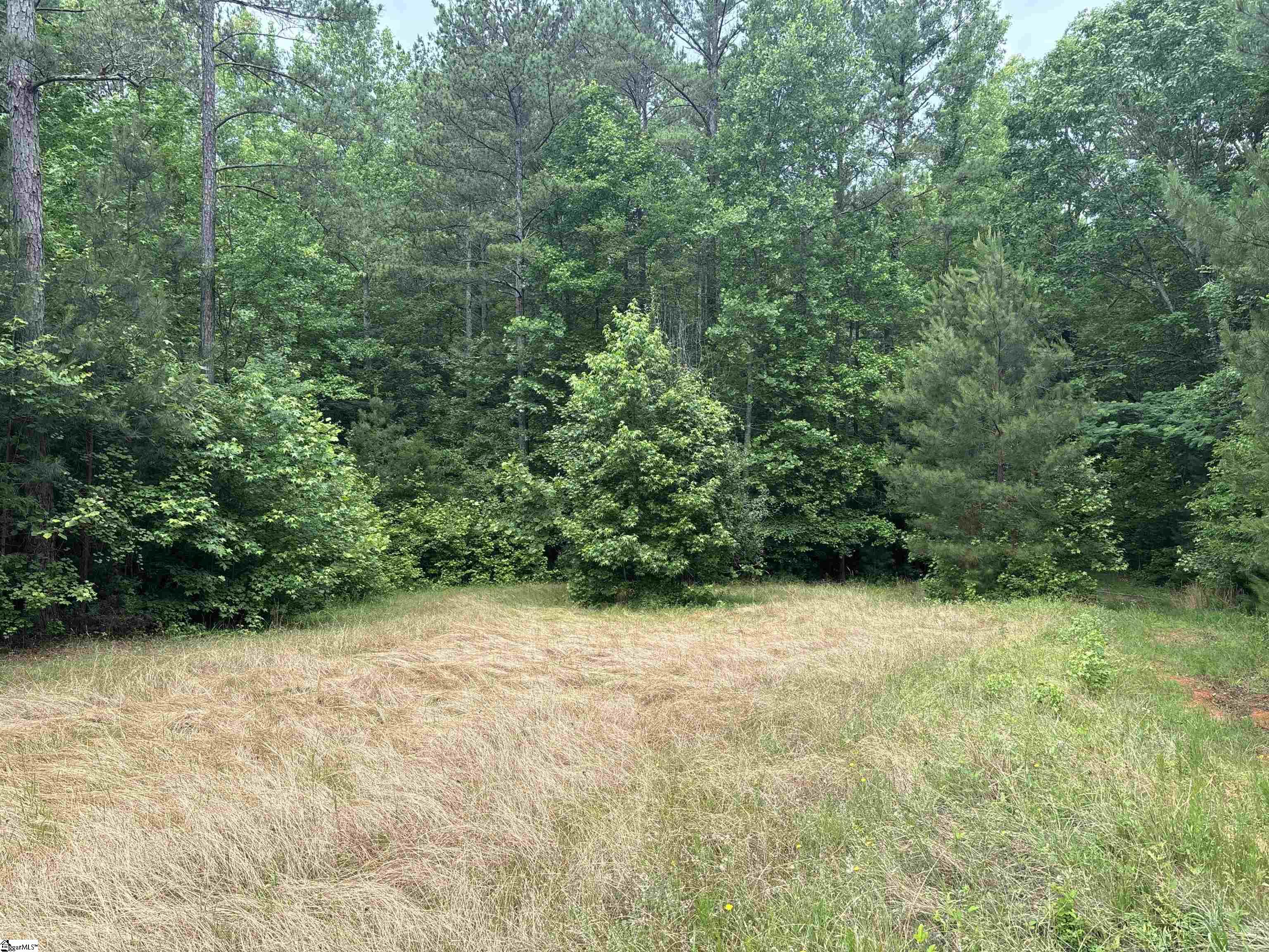 1087 Bobby Facuette Road Jonesville, SC 29353