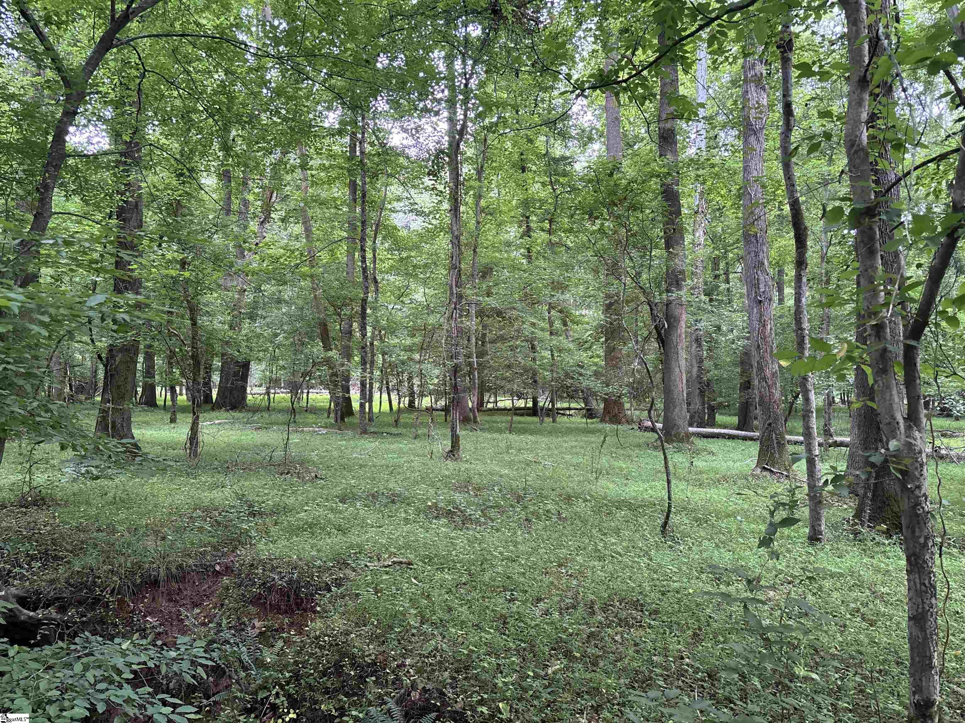 1087 Bobby Facuette Road Jonesville, SC 29353