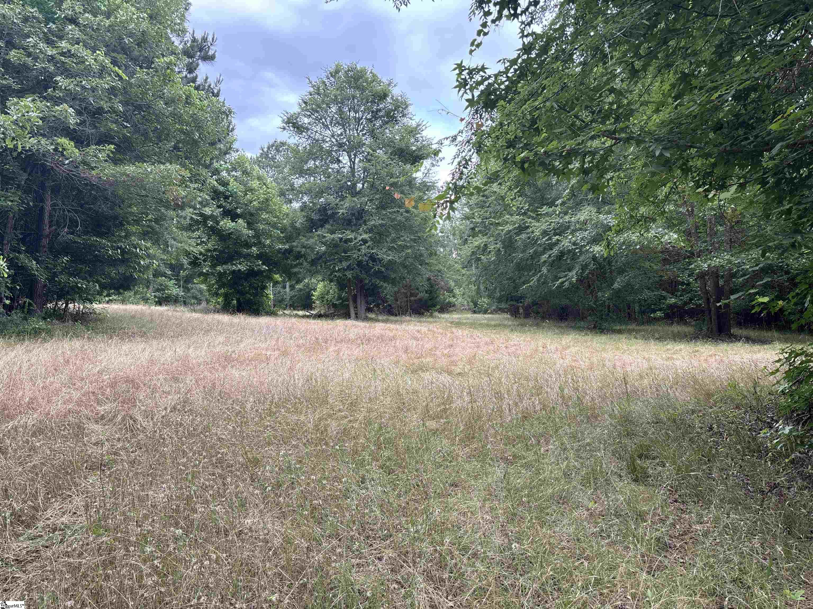 1087 Bobby Facuette Road Jonesville, SC 29353