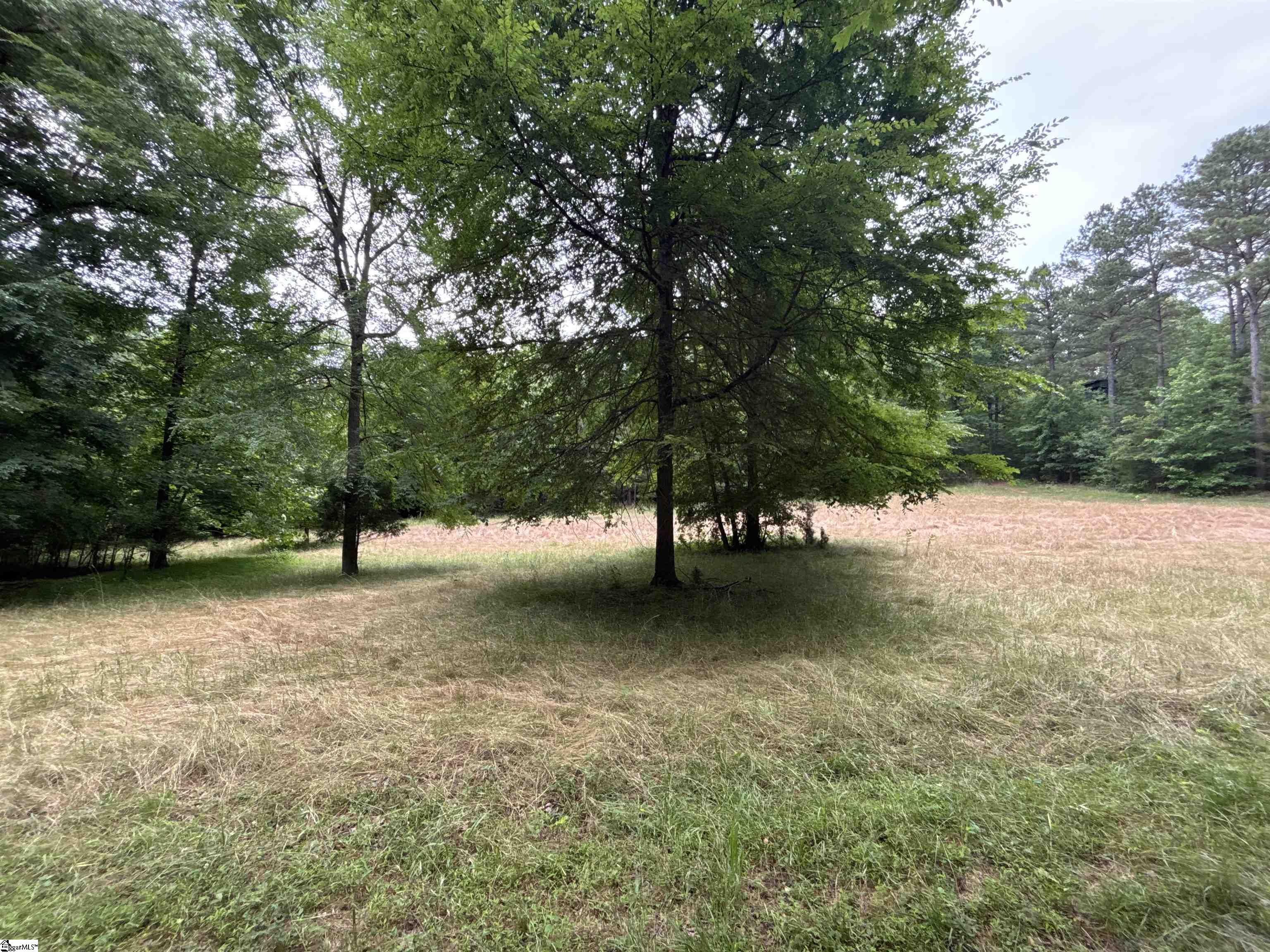 1087 Bobby Facuette Road Jonesville, SC 29353