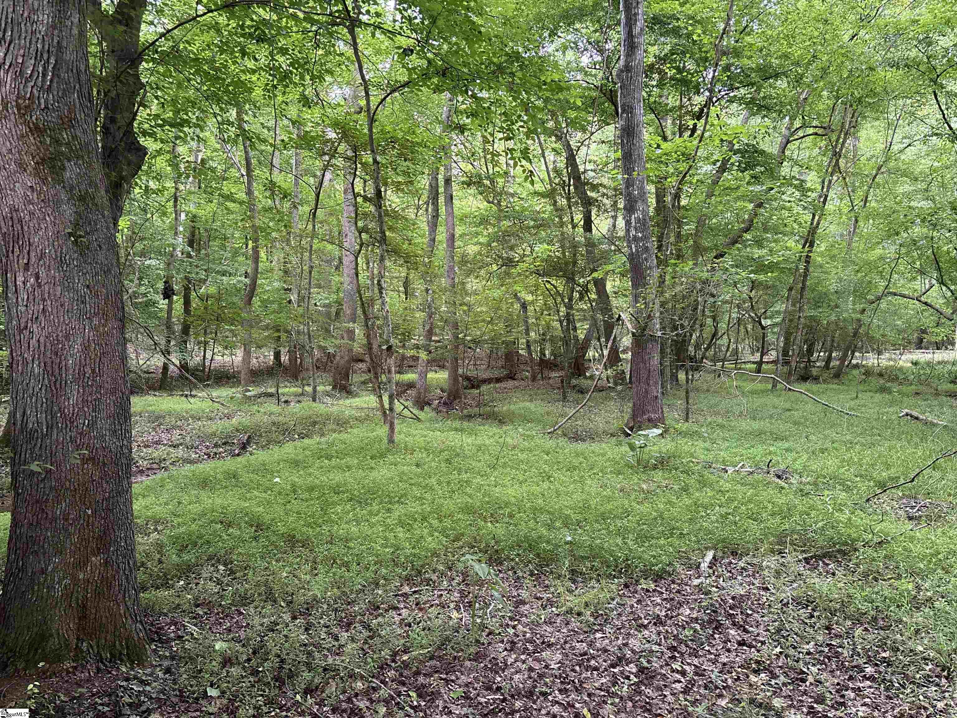 1087 Bobby Facuette Road Jonesville, SC 29353