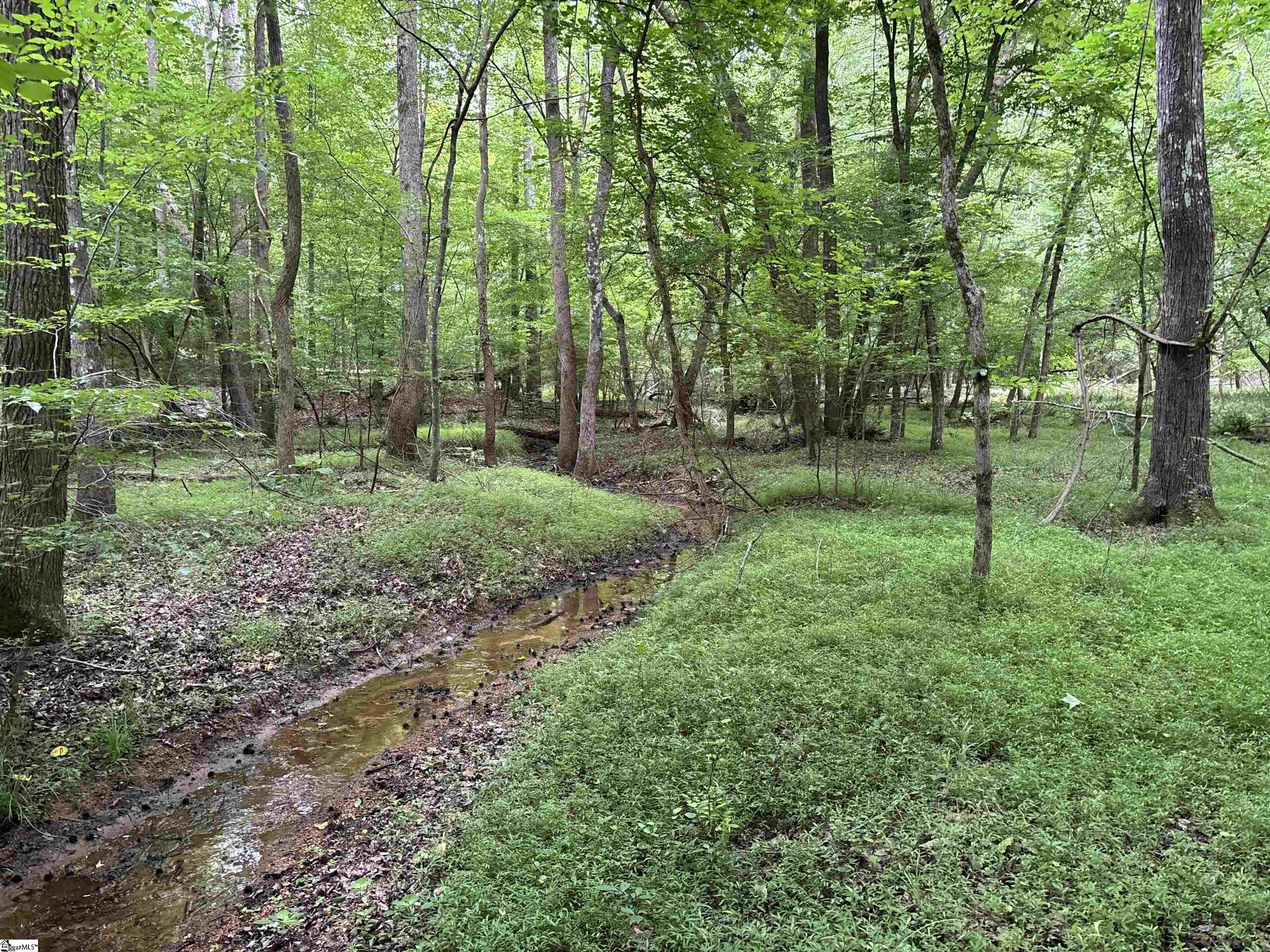 1087 Bobby Facuette Road Jonesville, SC 29353