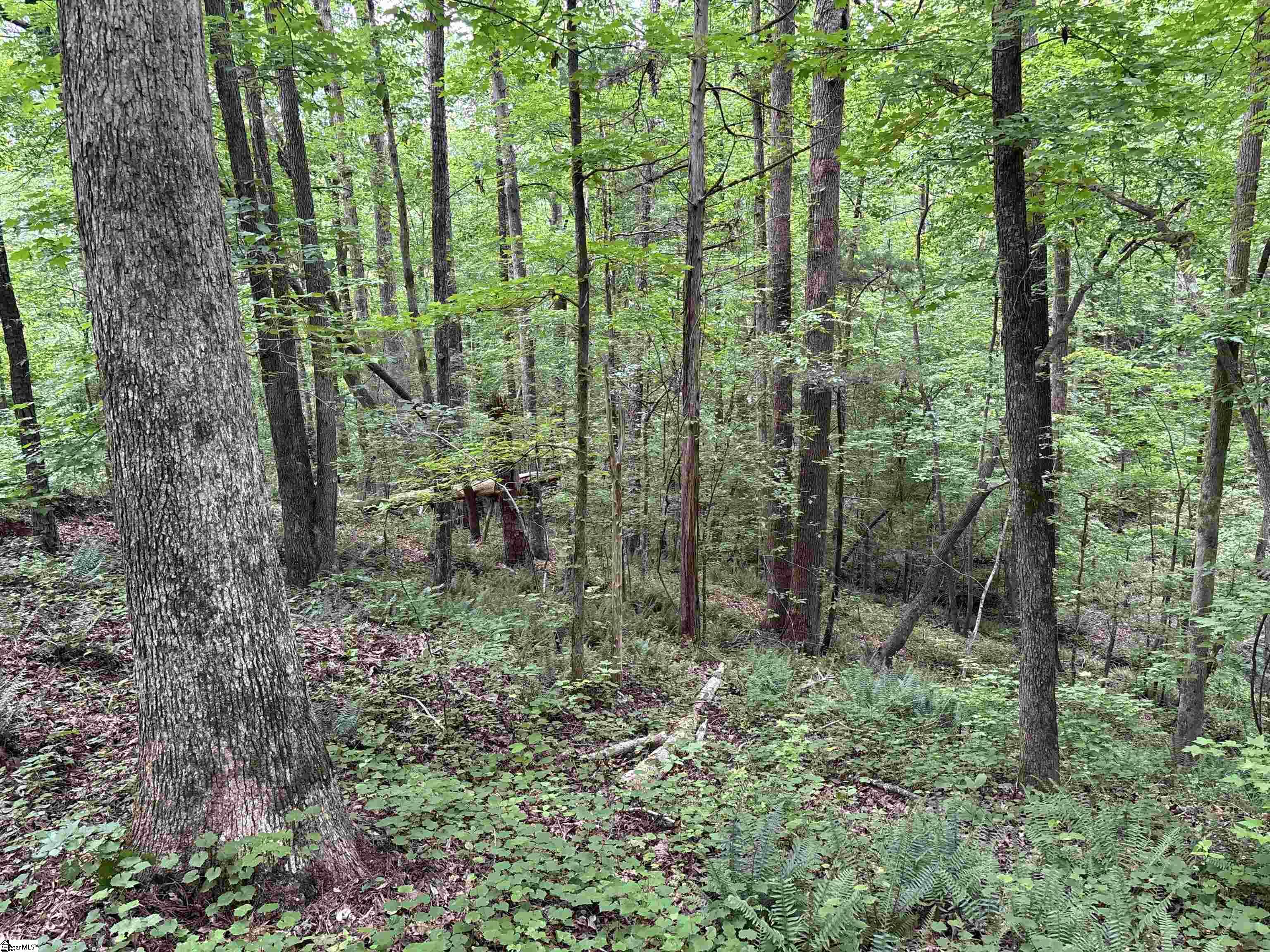 1087 Bobby Facuette Road Jonesville, SC 29353
