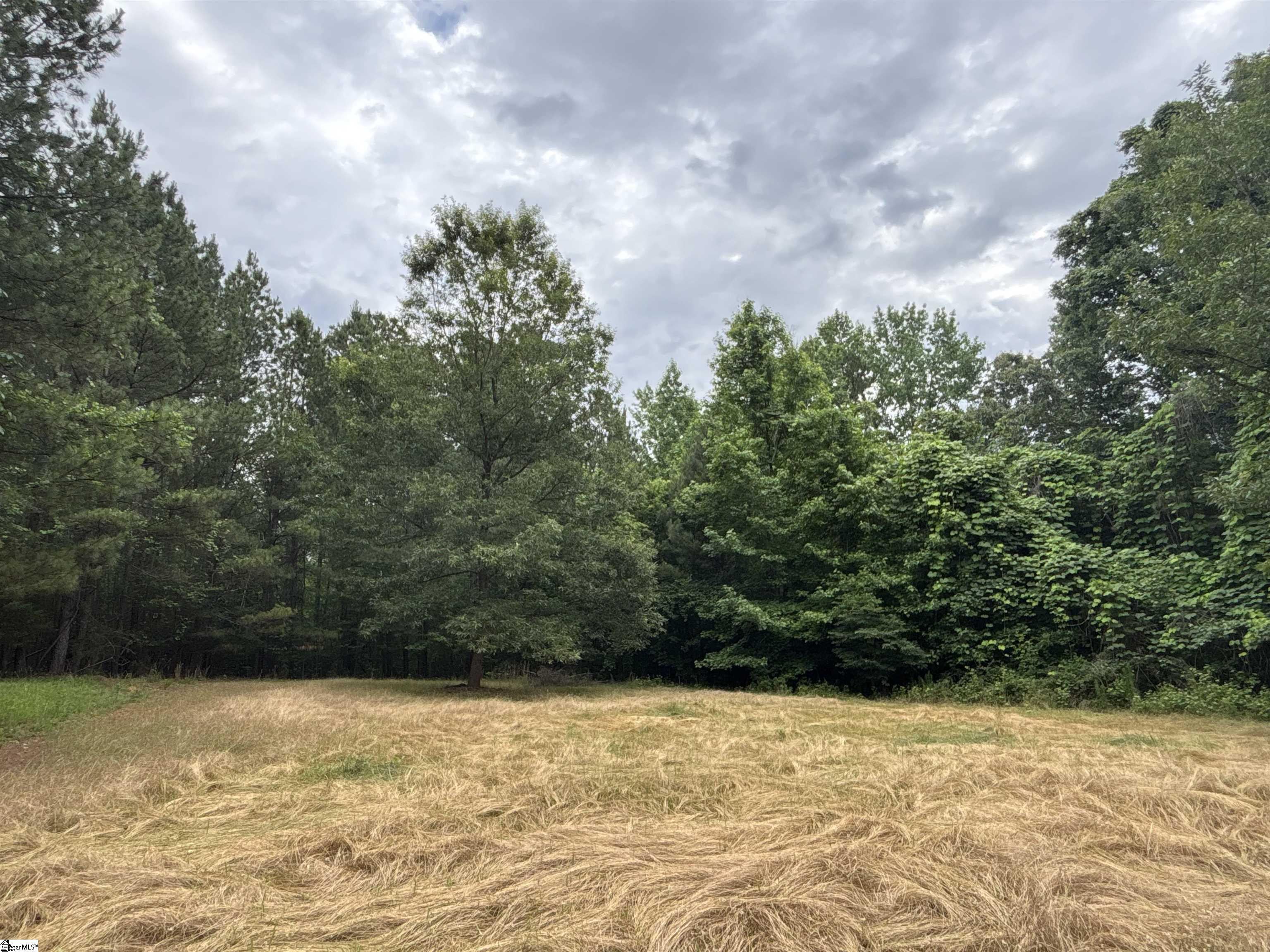 1087 Bobby Facuette Road Jonesville, SC 29353