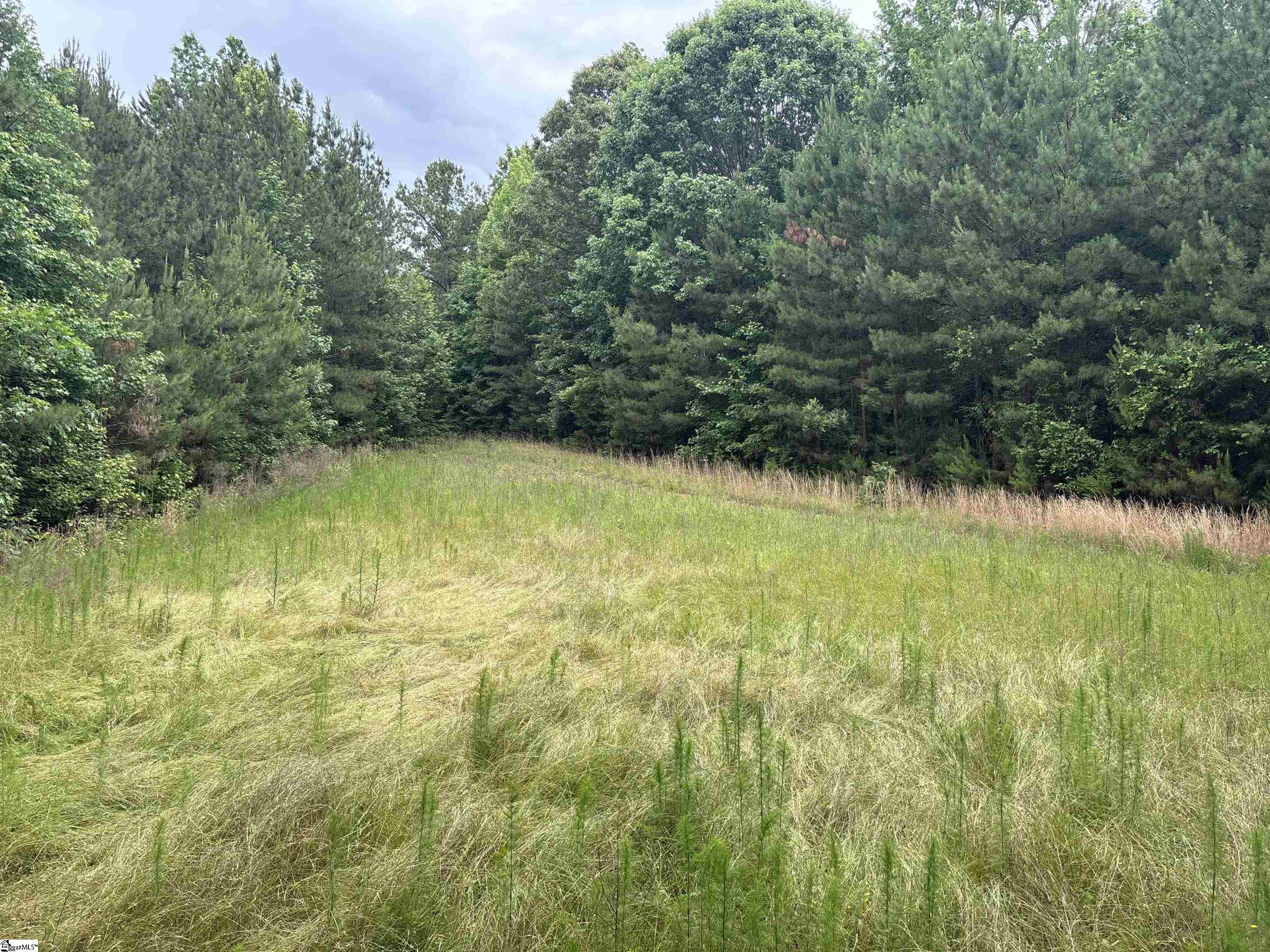 1087 Bobby Facuette Road Jonesville, SC 29353