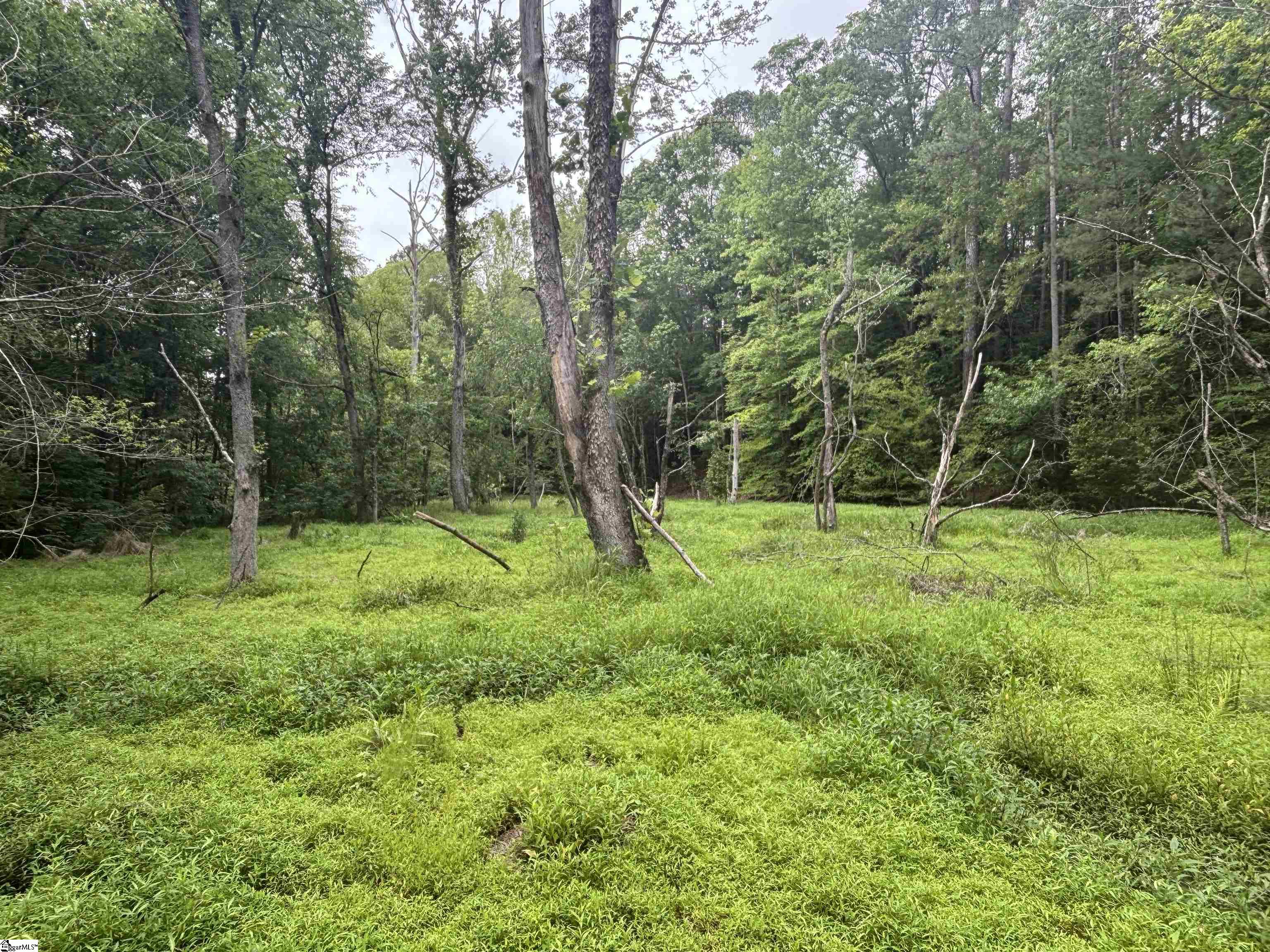1087 Bobby Facuette Road Jonesville, SC 29353