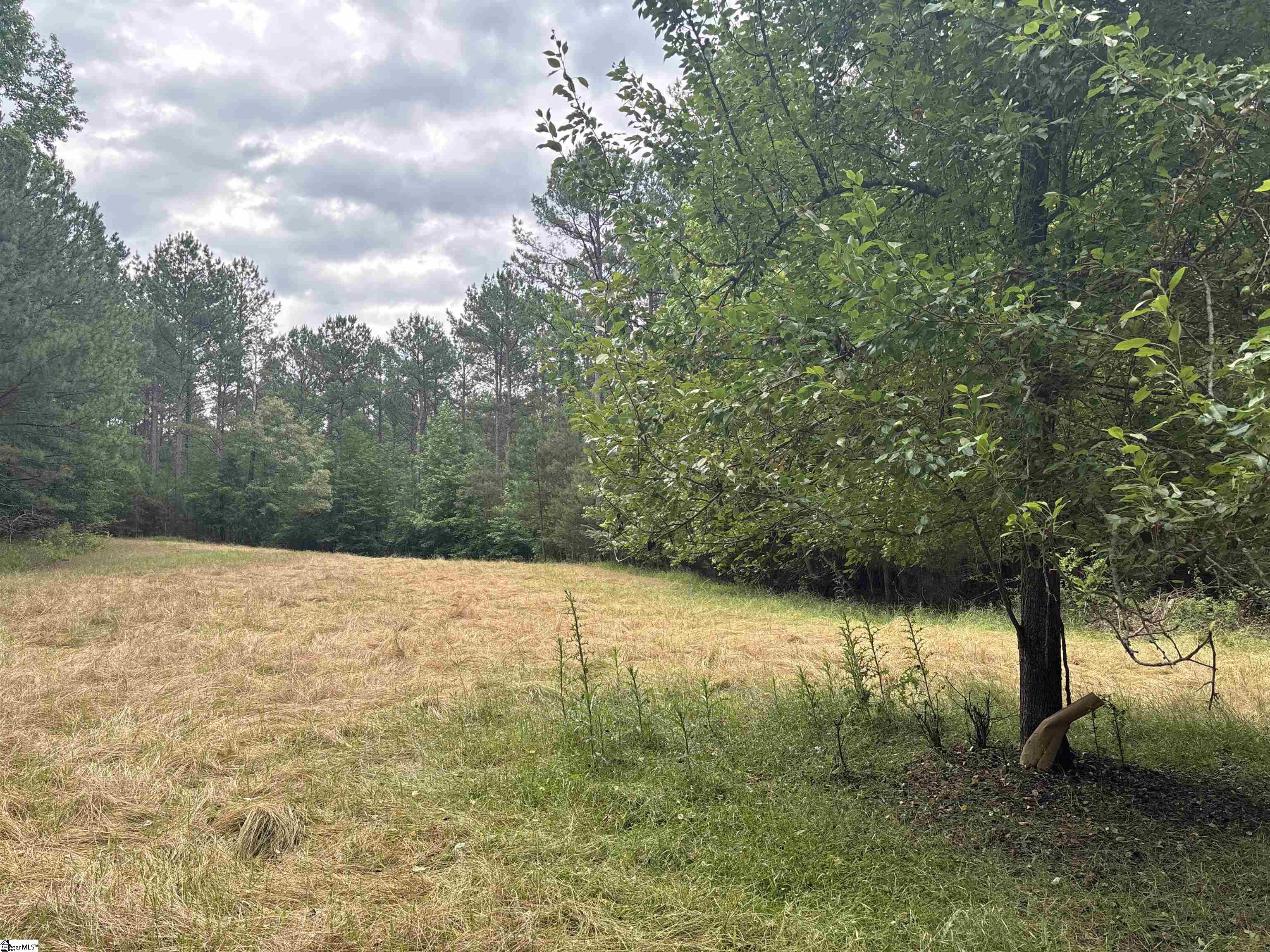 1087 Bobby Facuette Road Jonesville, SC 29353