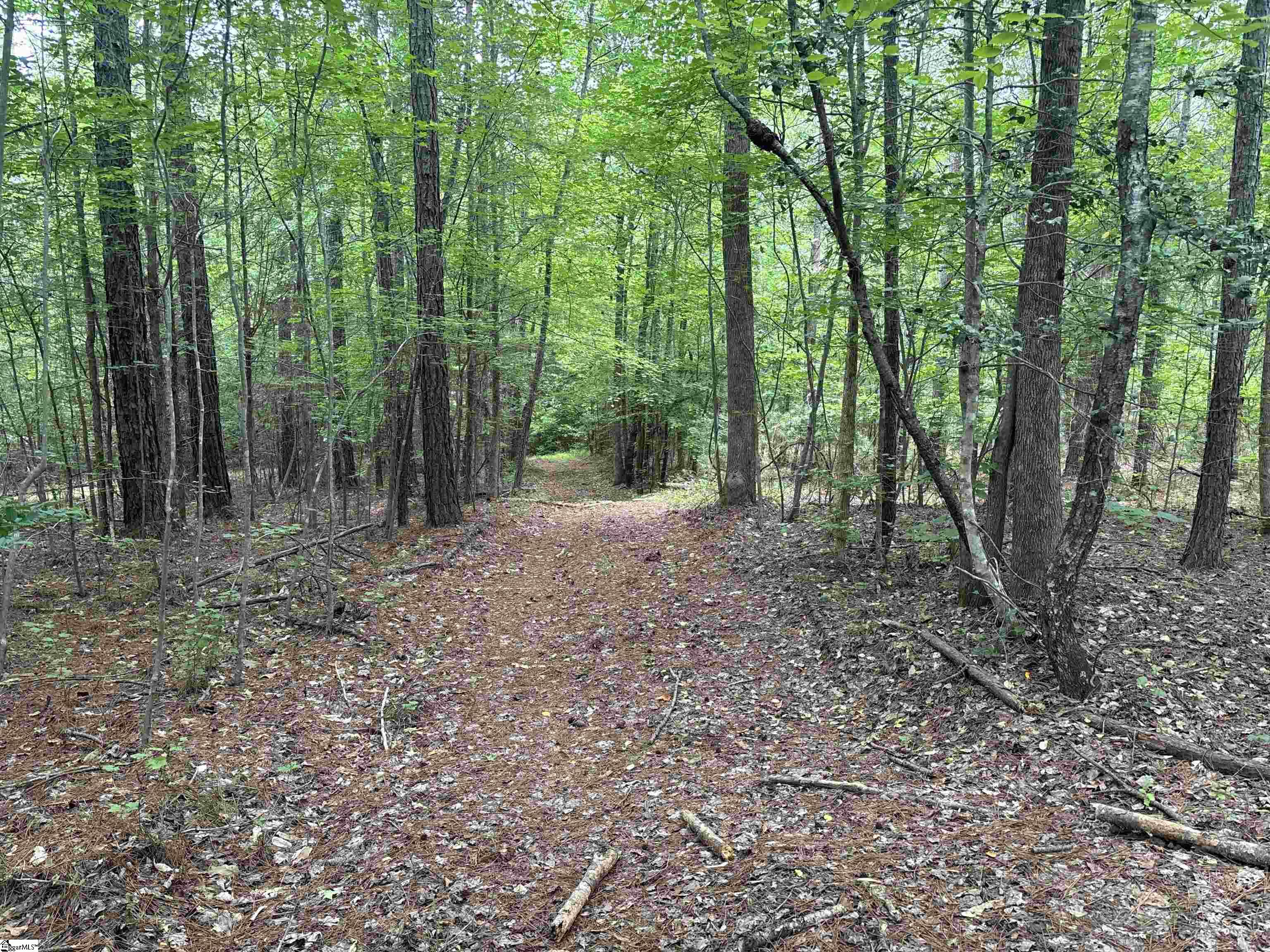 1087 Bobby Facuette Road Jonesville, SC 29353