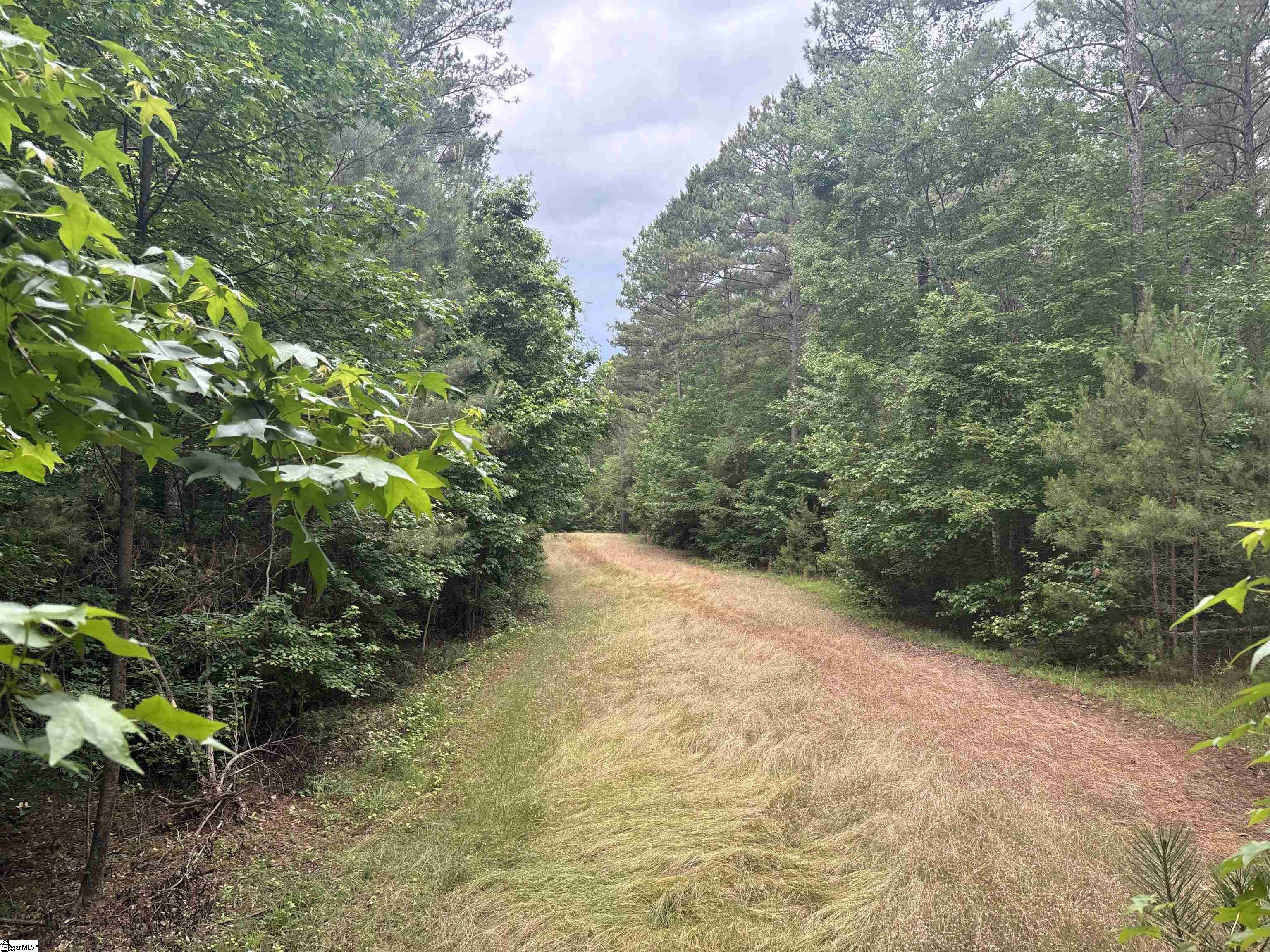 1087 Bobby Facuette Road Jonesville, SC 29353
