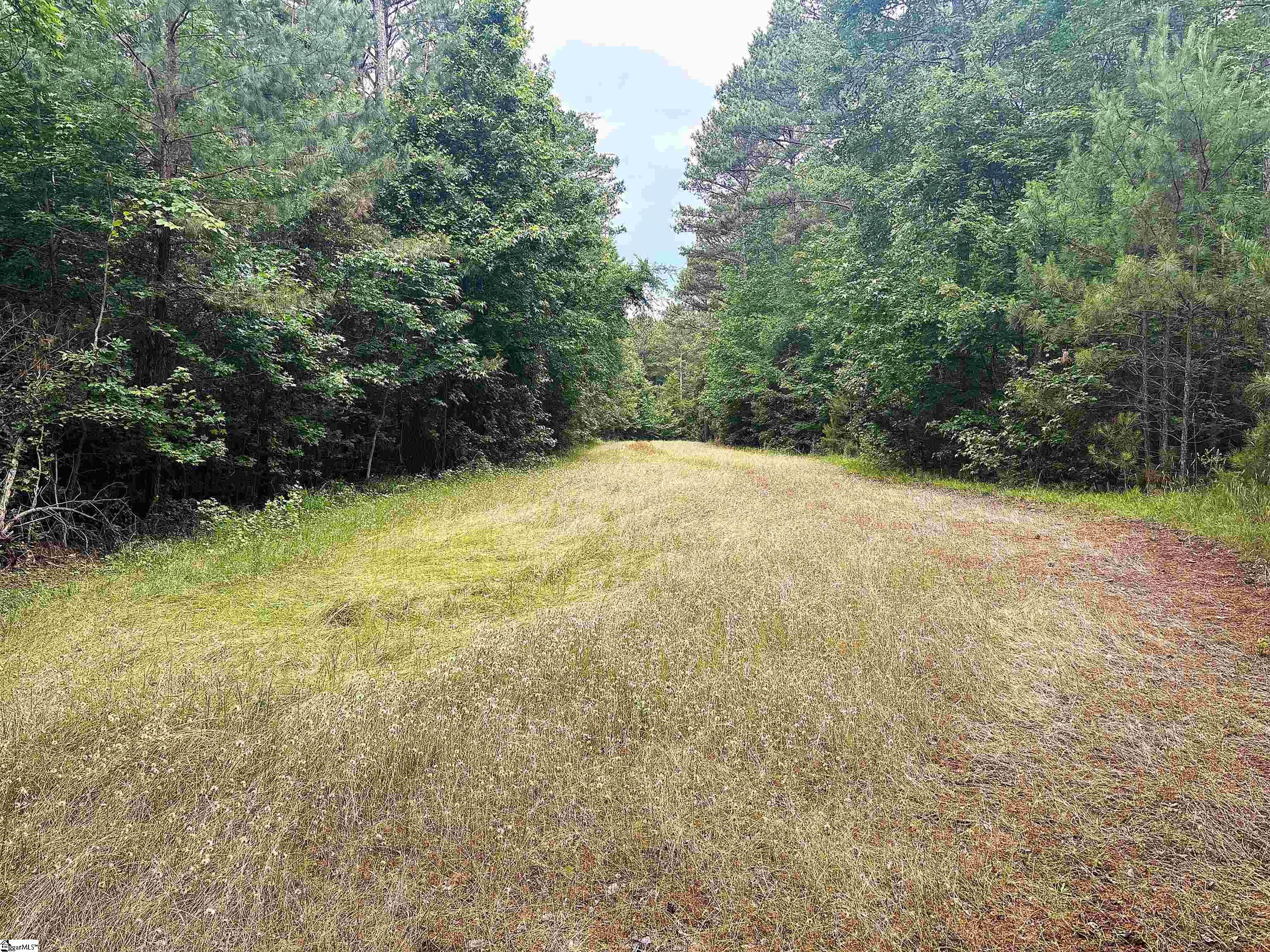 1087 Bobby Facuette Road Jonesville, SC 29353