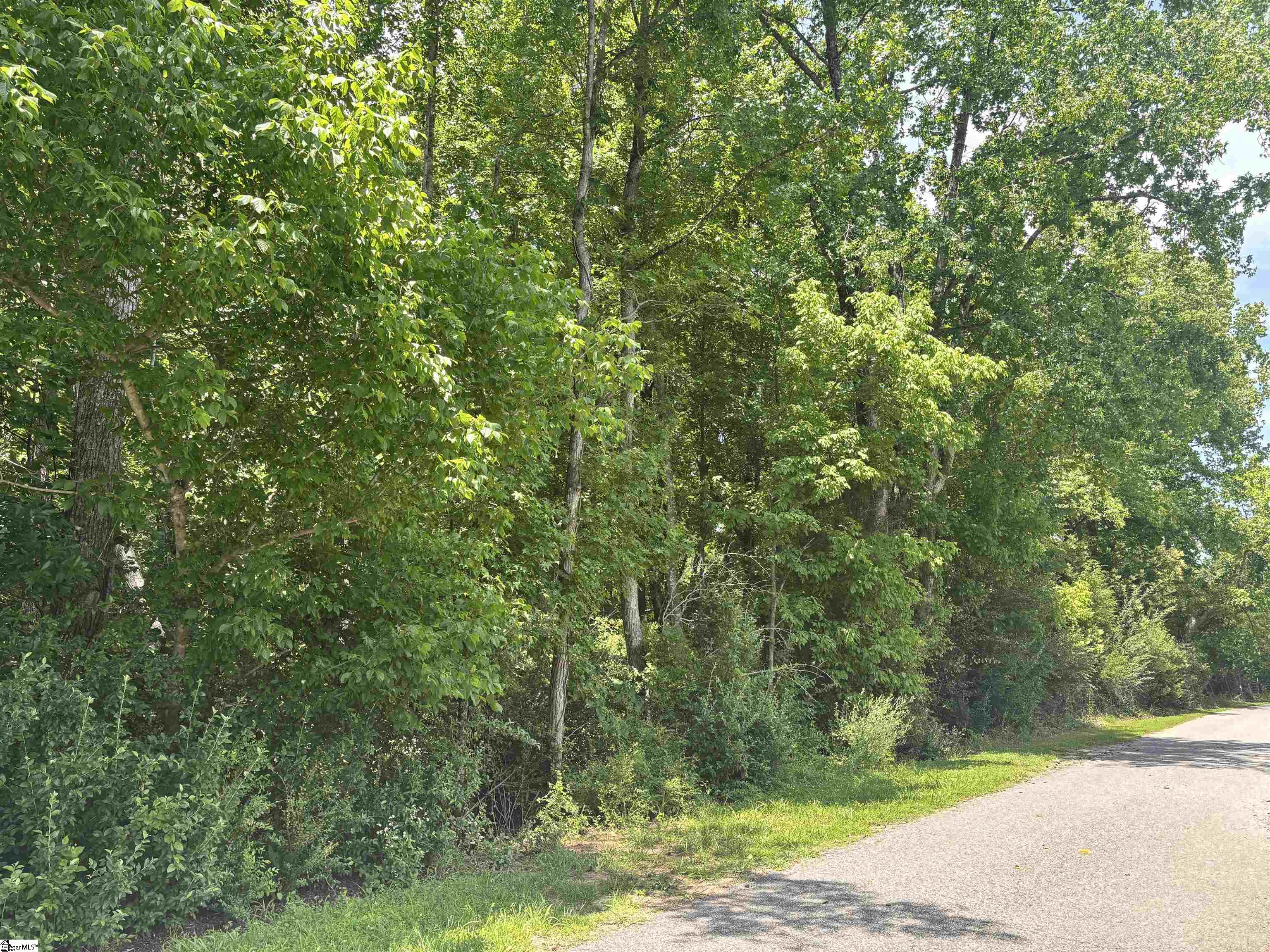 00 Borders Road Blacksburg, SC 29702