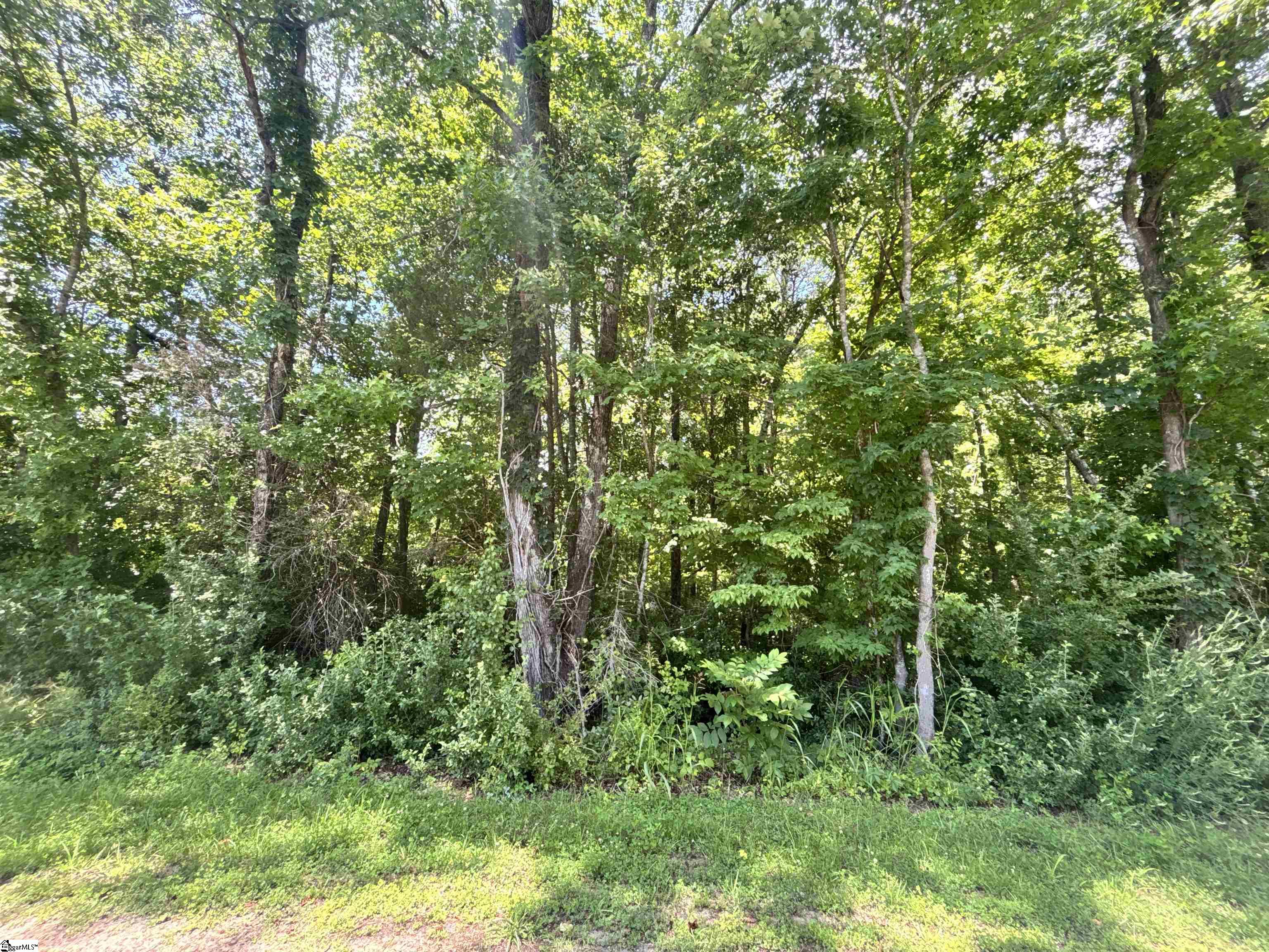 00 Borders Road Blacksburg, SC 29702