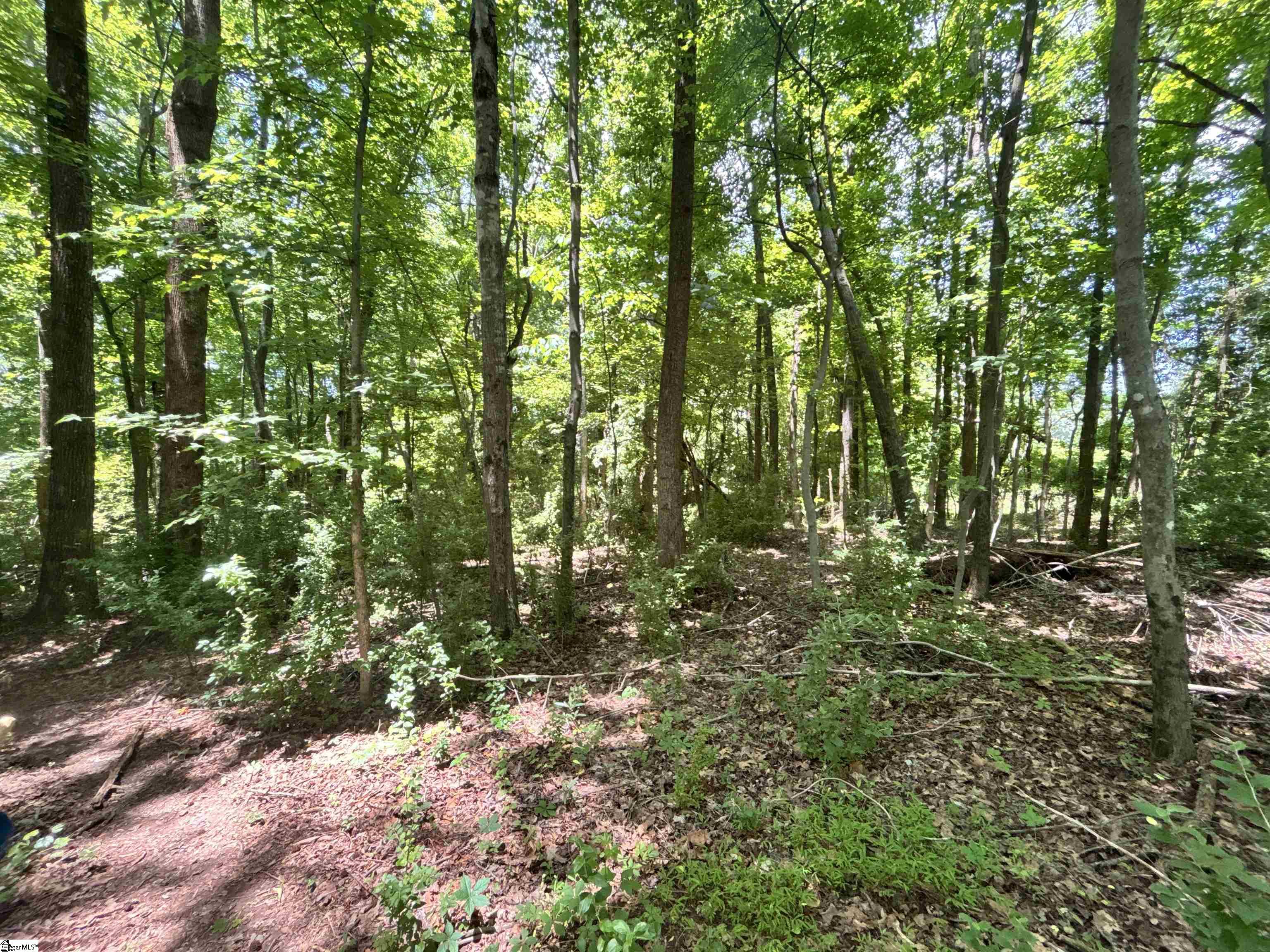 00 Borders Road Blacksburg, SC 29702