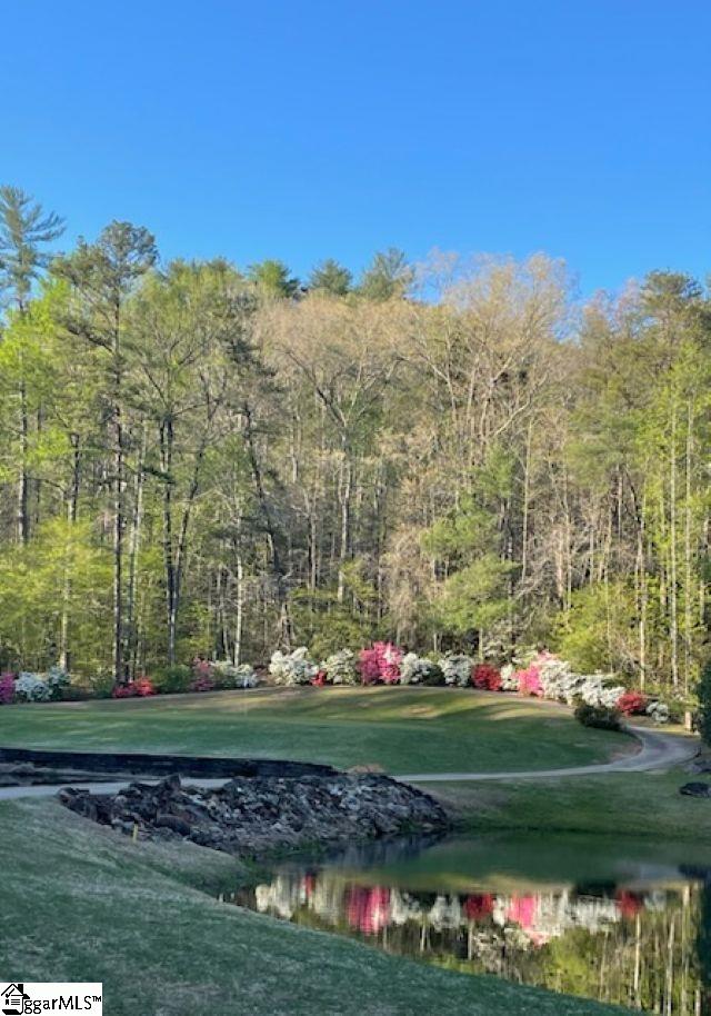 154 Broken Bow Run Pickens, SC 29671