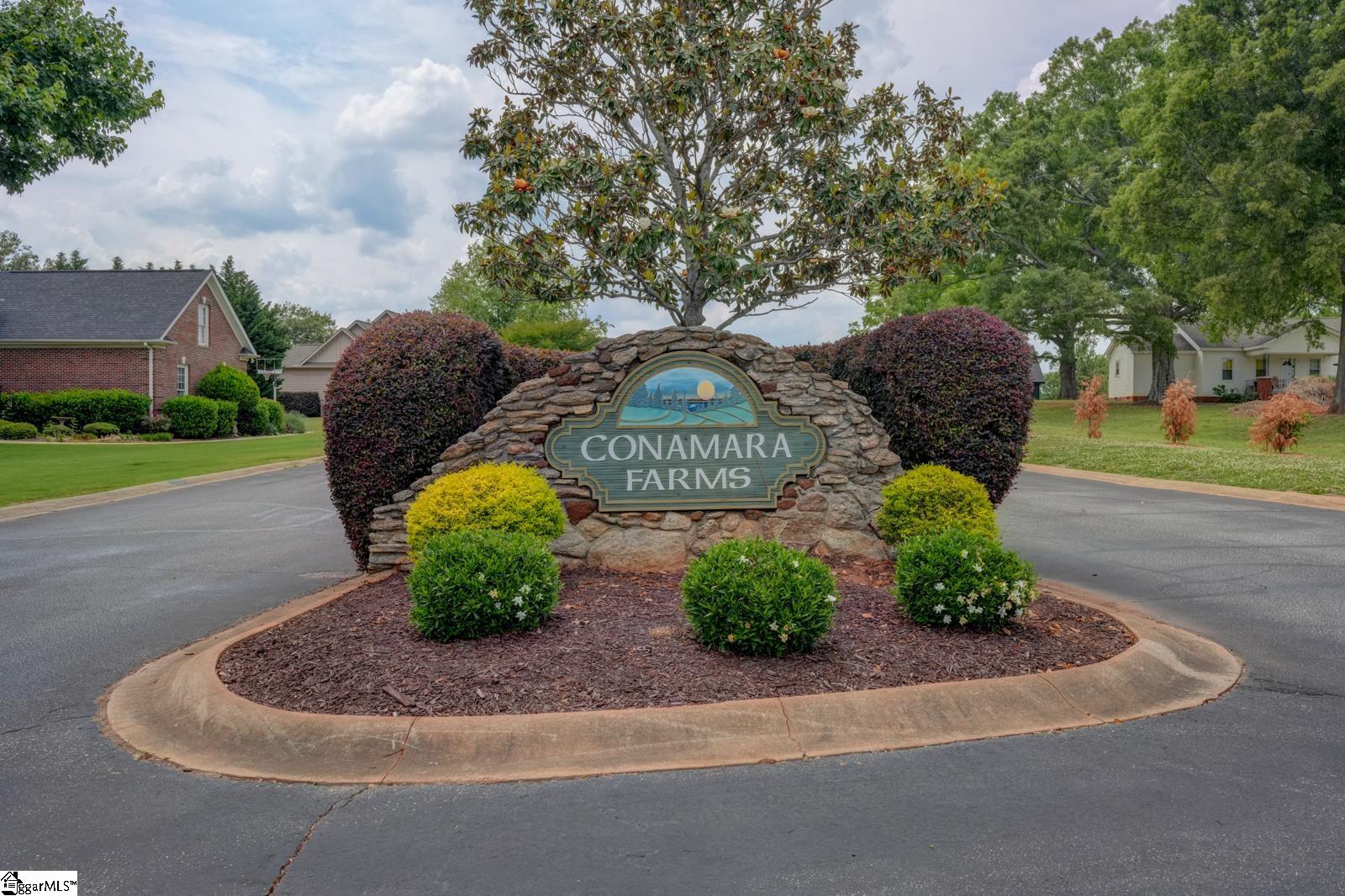 312 Treneholm Way Woodruff, SC 29388